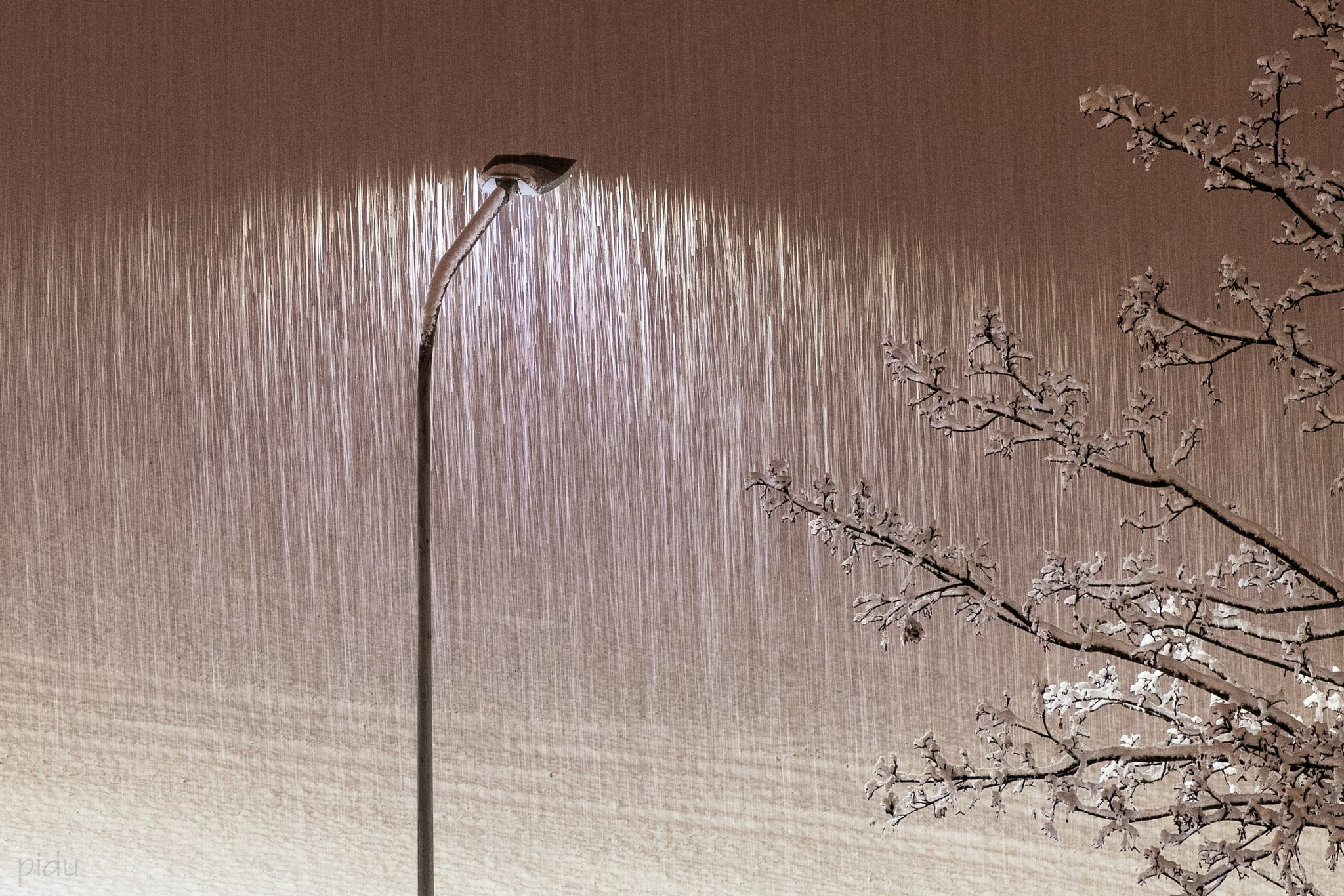 Nikon AF-S Nikkor 24-70mm F2.8E ED VR sample photo. First snowfall this season photography