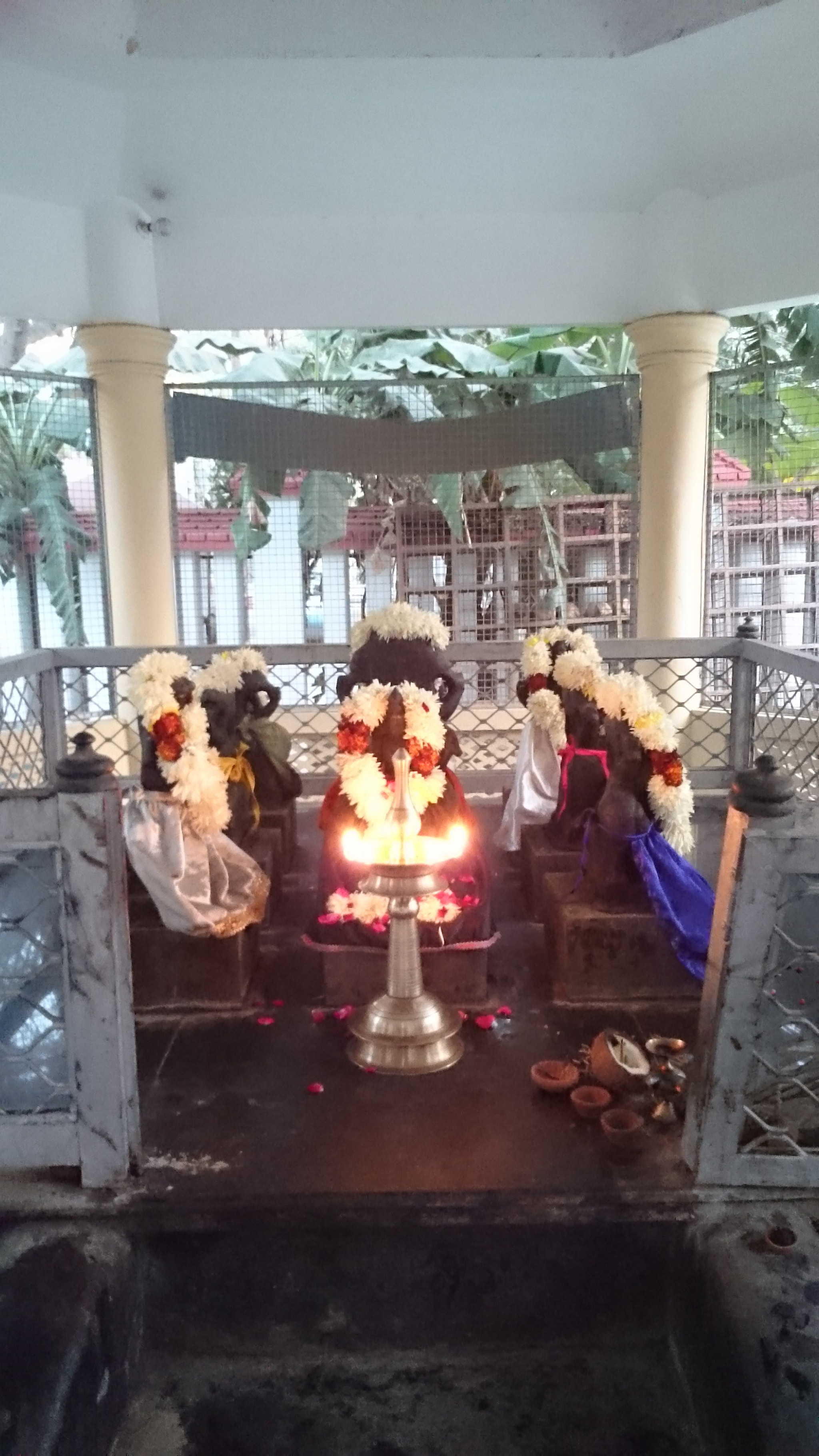 Sony Xperia Z Ultra sample photo