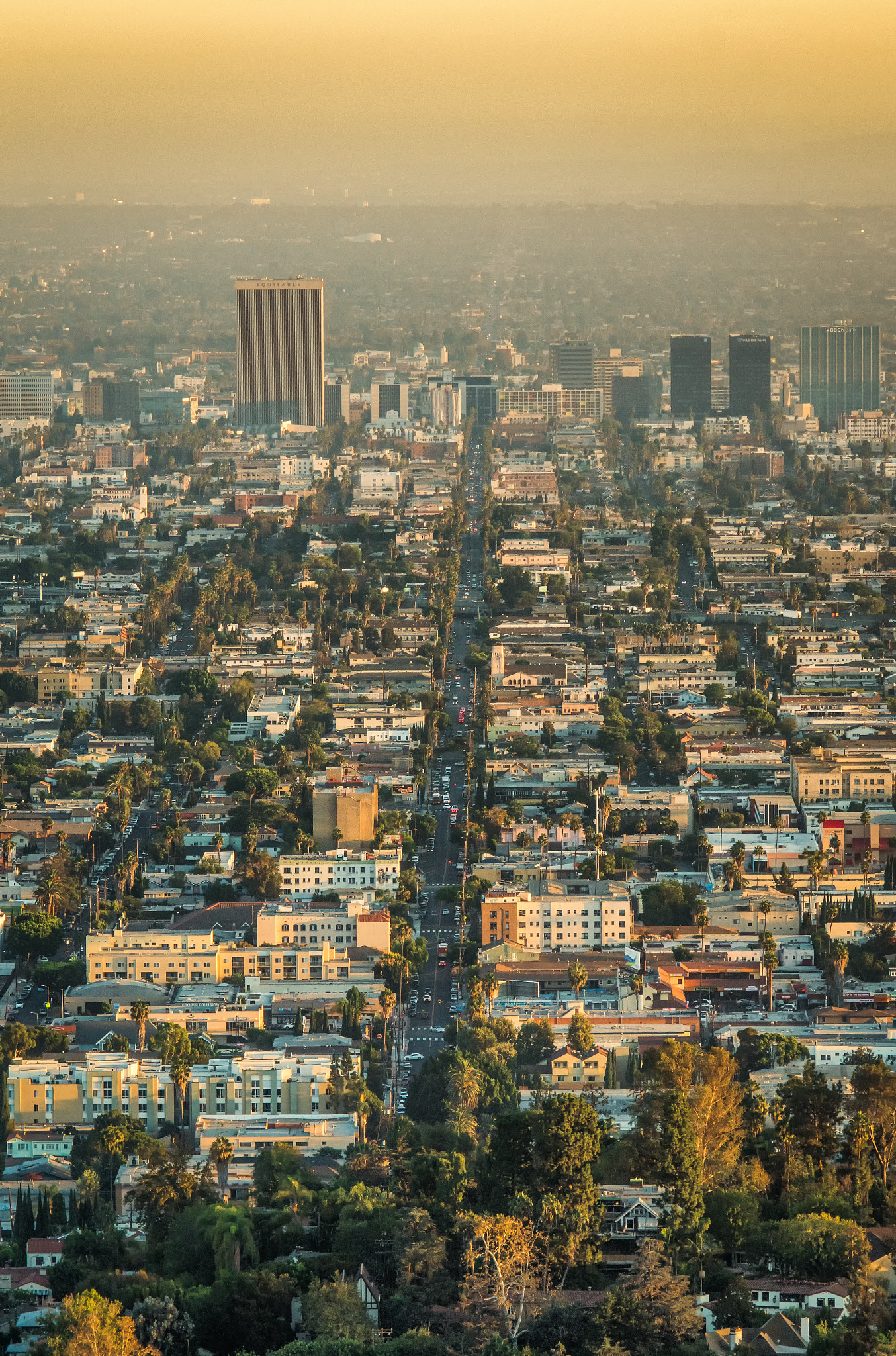 Sony SLT-A68 sample photo. Los angeles photography