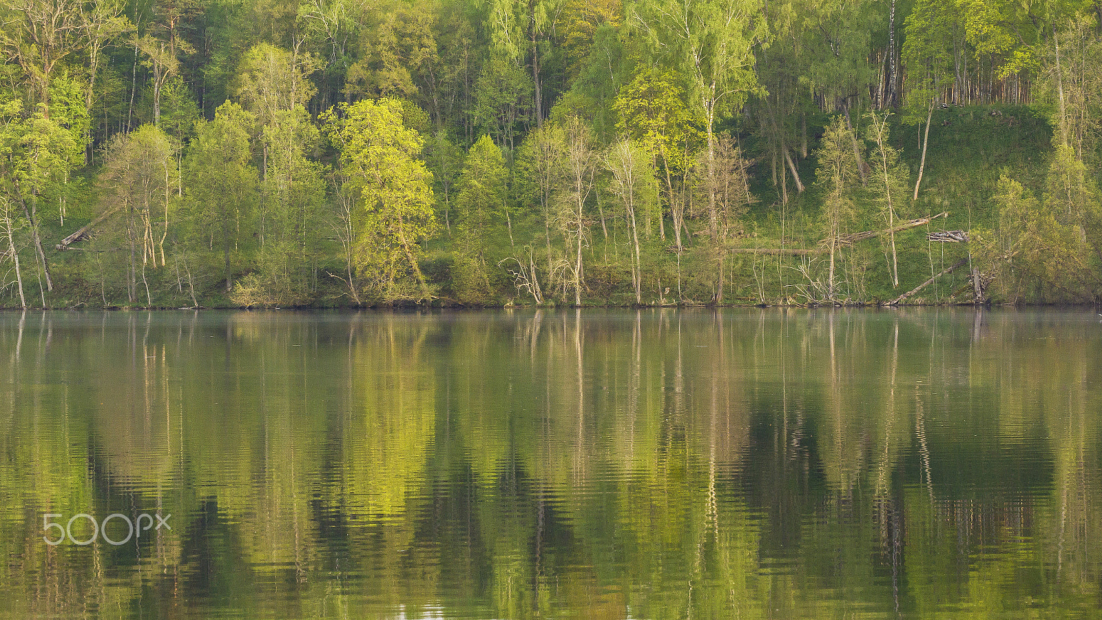Canon EF 100mm F2.8 Macro USM sample photo. Spring time lake photography
