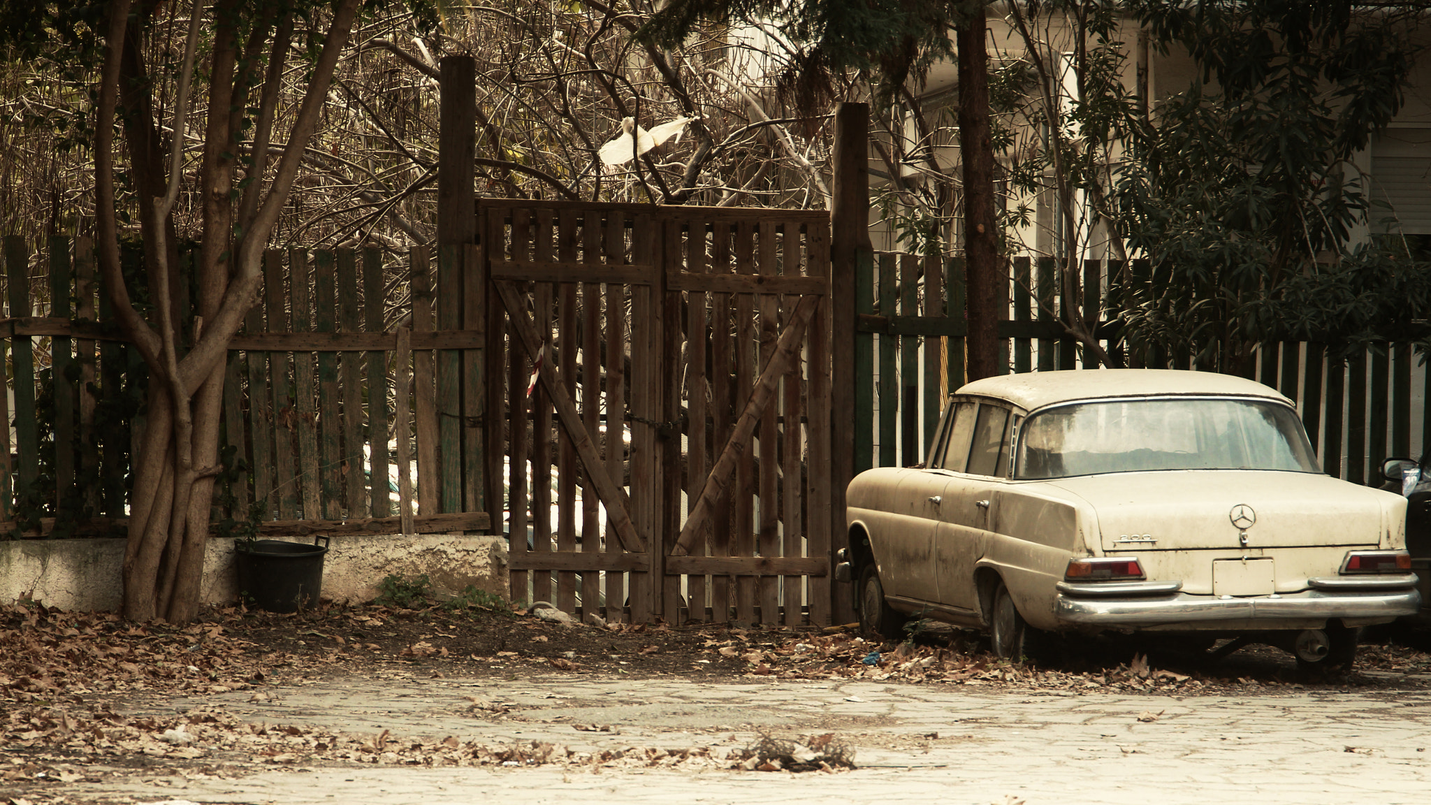 Canon EF 24-105mm F3.5-5.6 IS STM sample photo. Old car backyard photography