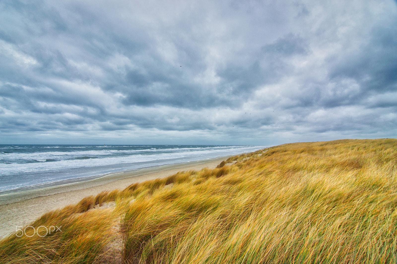 Tokina AT-X Pro 12-24mm F4 (IF) DX sample photo. Texel photography