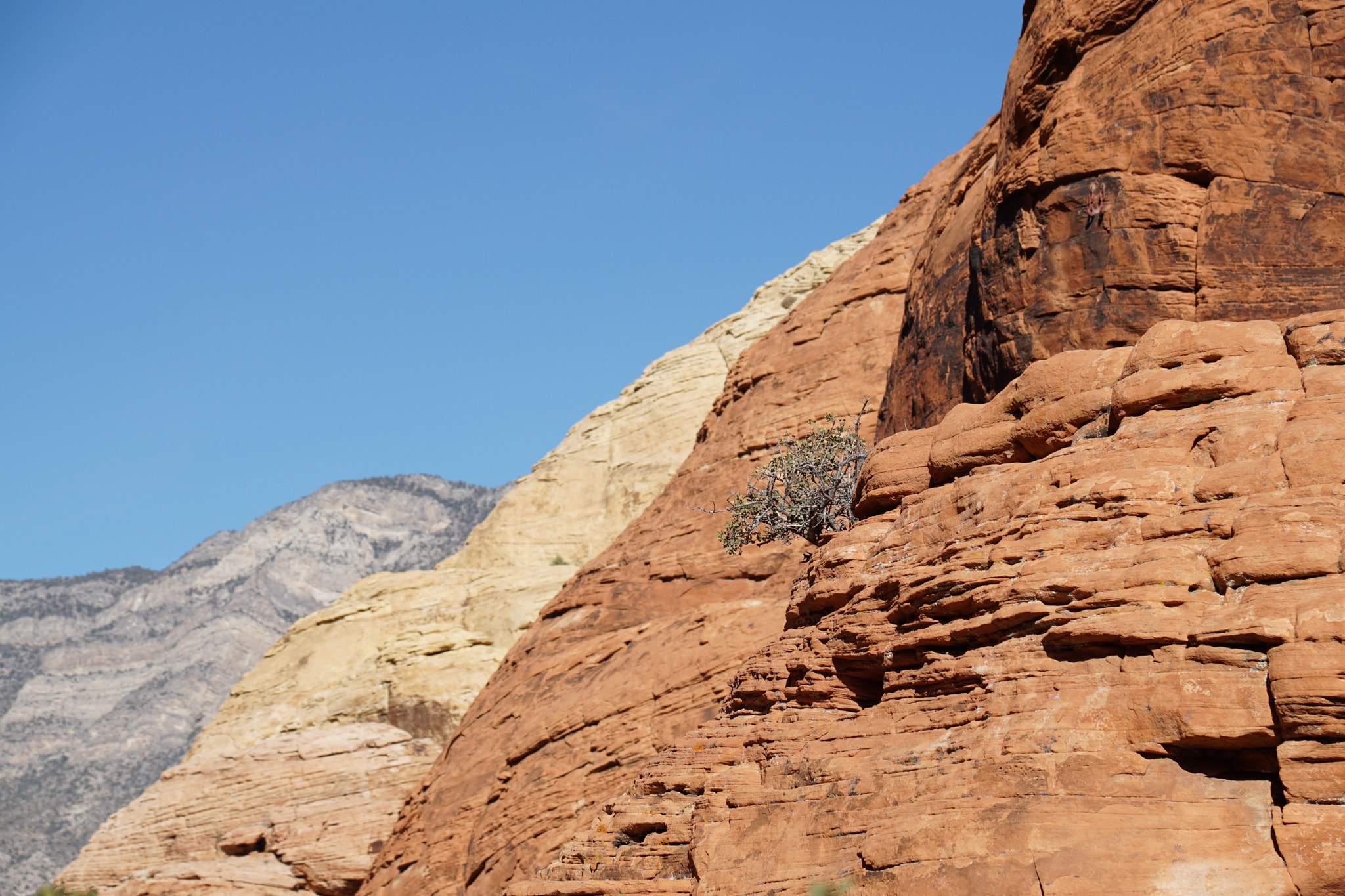 Sony ILCA-77M2 sample photo. Red rocks photography