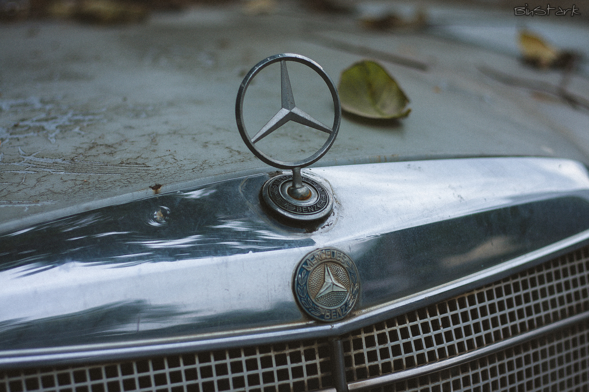 Canon EOS 40D + Canon EF 50mm F1.8 STM sample photo. Mercedes benz logo photography