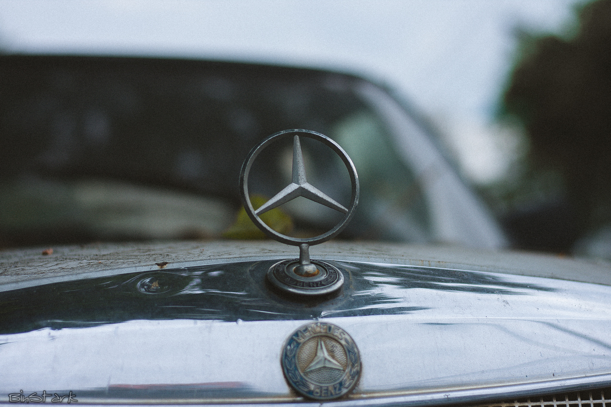 Canon EOS 40D + Canon EF 50mm F1.8 STM sample photo. Mercedes benz logo photography