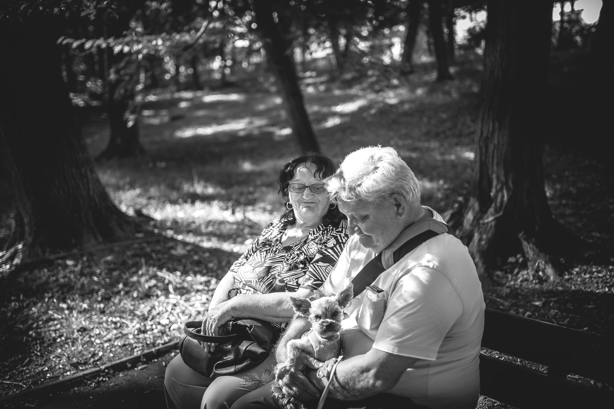 Nikon D750 + Tamron SP 35mm F1.8 Di VC USD sample photo. 31.jpg photography