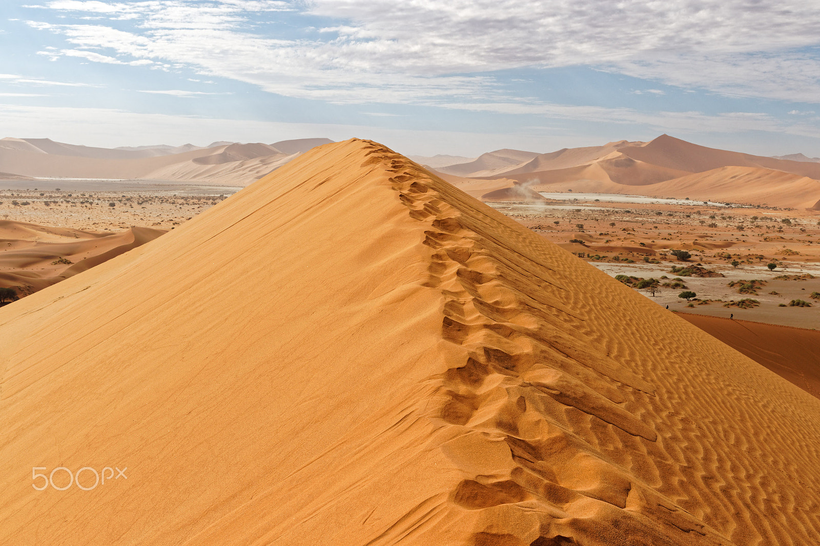 Canon EF 24-70mm F2.8L II USM sample photo. Namib desert photography
