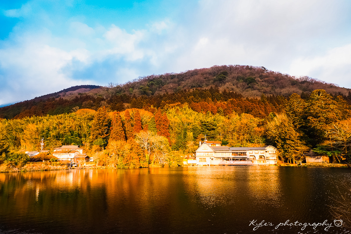Olympus Zuiko Digital ED 9-18mm F4.0-5.6 sample photo. 金鱗湖 photography
