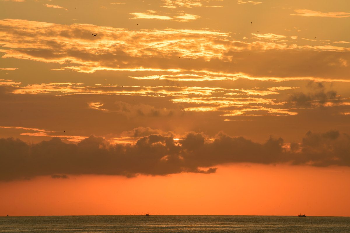 Nikon D600 sample photo. Malaga photography