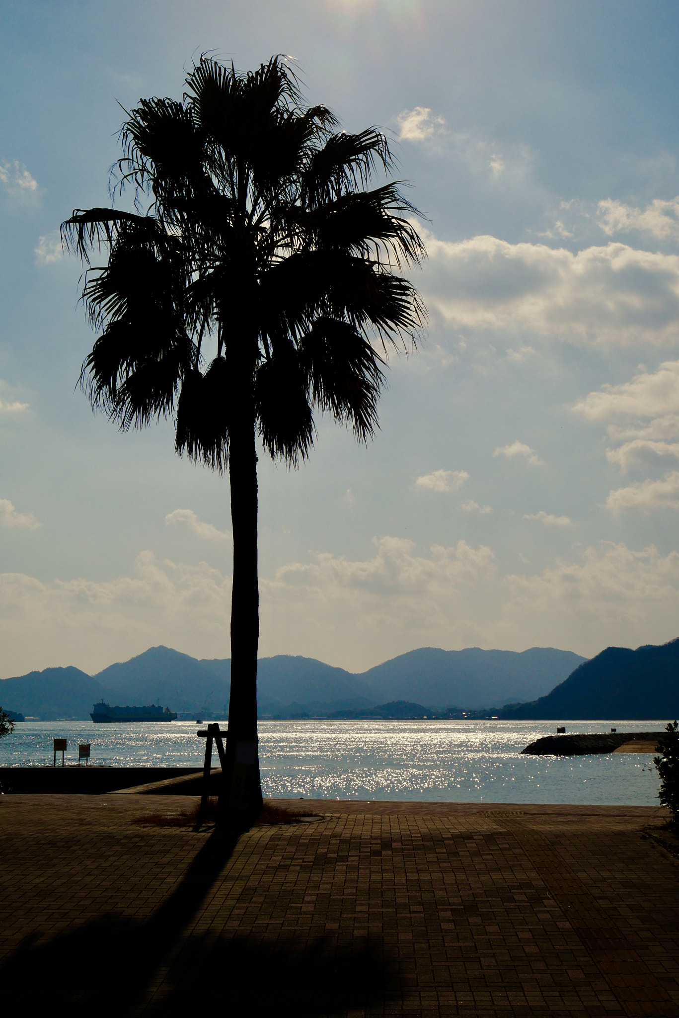 Panasonic Lumix DMC-GX85 (Lumix DMC-GX80 / Lumix DMC-GX7 Mark II) + Panasonic Lumix G Vario HD 12-32mm F3.5-5.6 Mega OIS sample photo. 須波ビーチ sunami beach photography