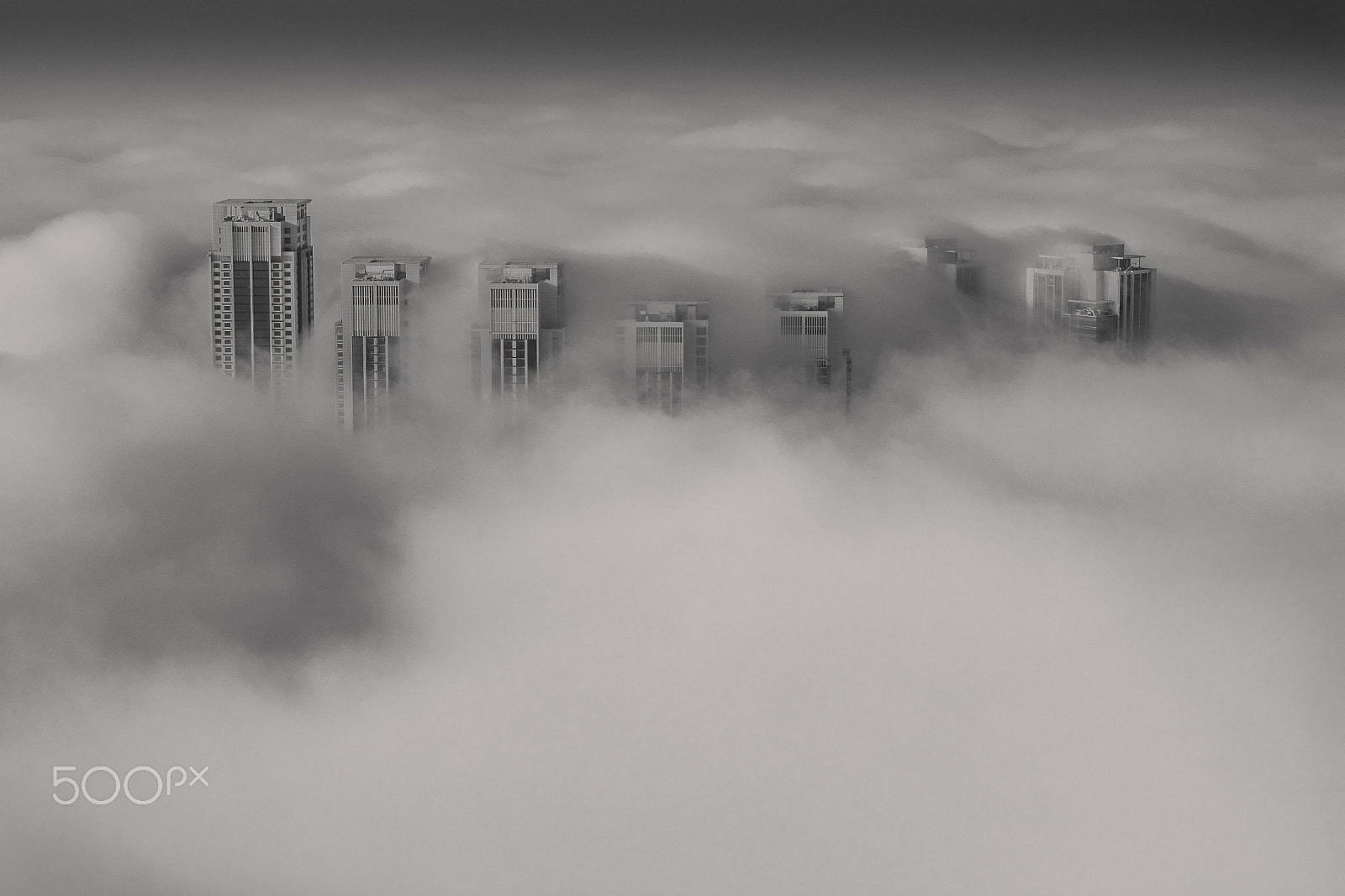 Nikon D500 sample photo. Fog apocalypse photography