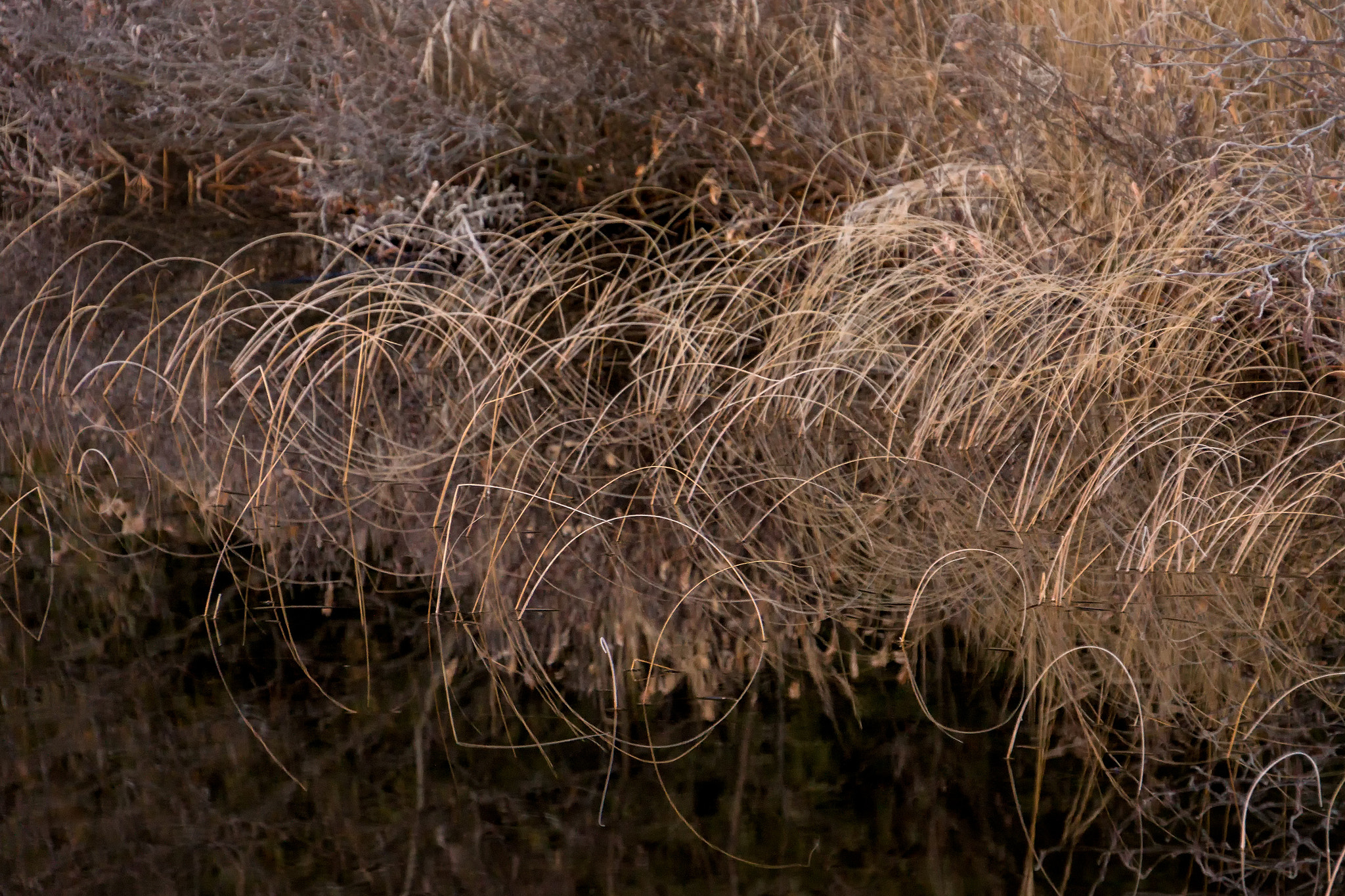 Sony E 18-200mm F3.5-6.3 OSS sample photo. 'trying to photograph my way out of trouble ... ' photography