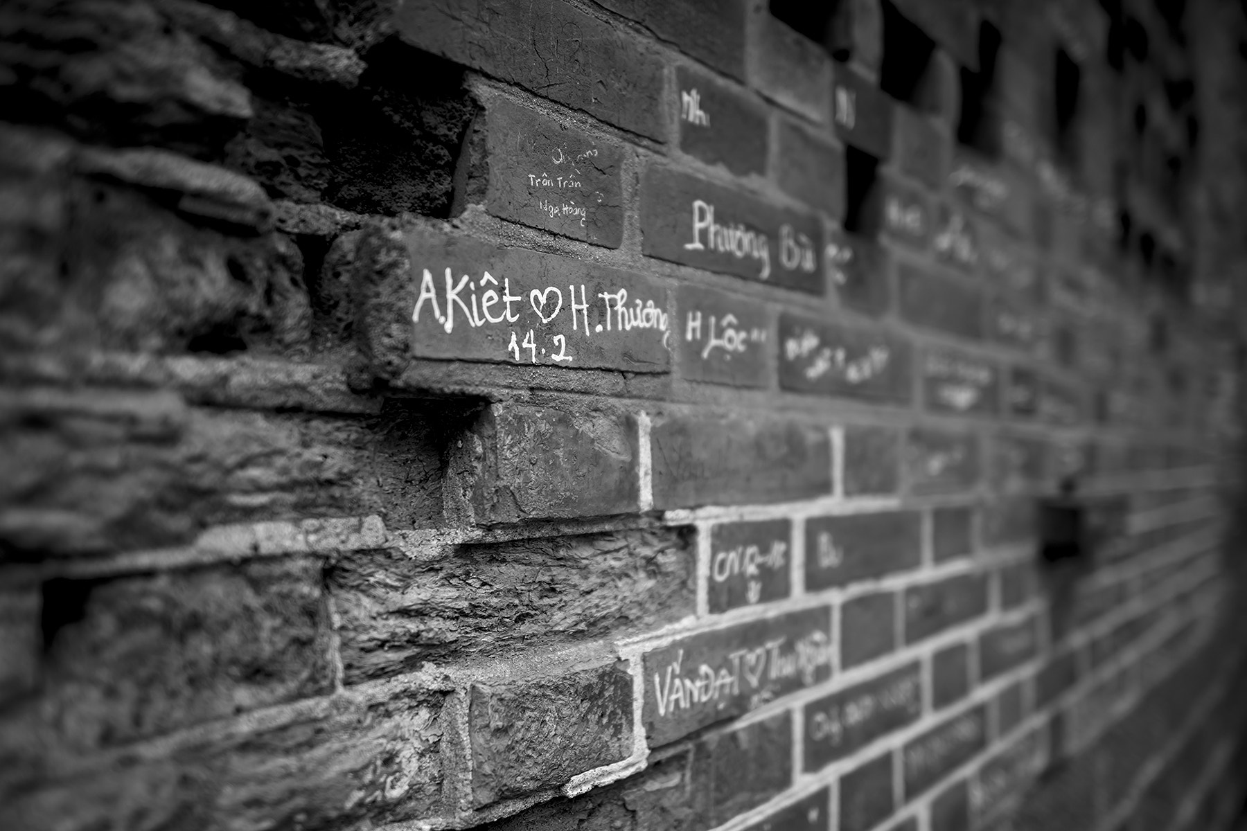 Nikon D800E + Nikon AF-S Nikkor 24mm F1.4G ED sample photo. 无题 photography