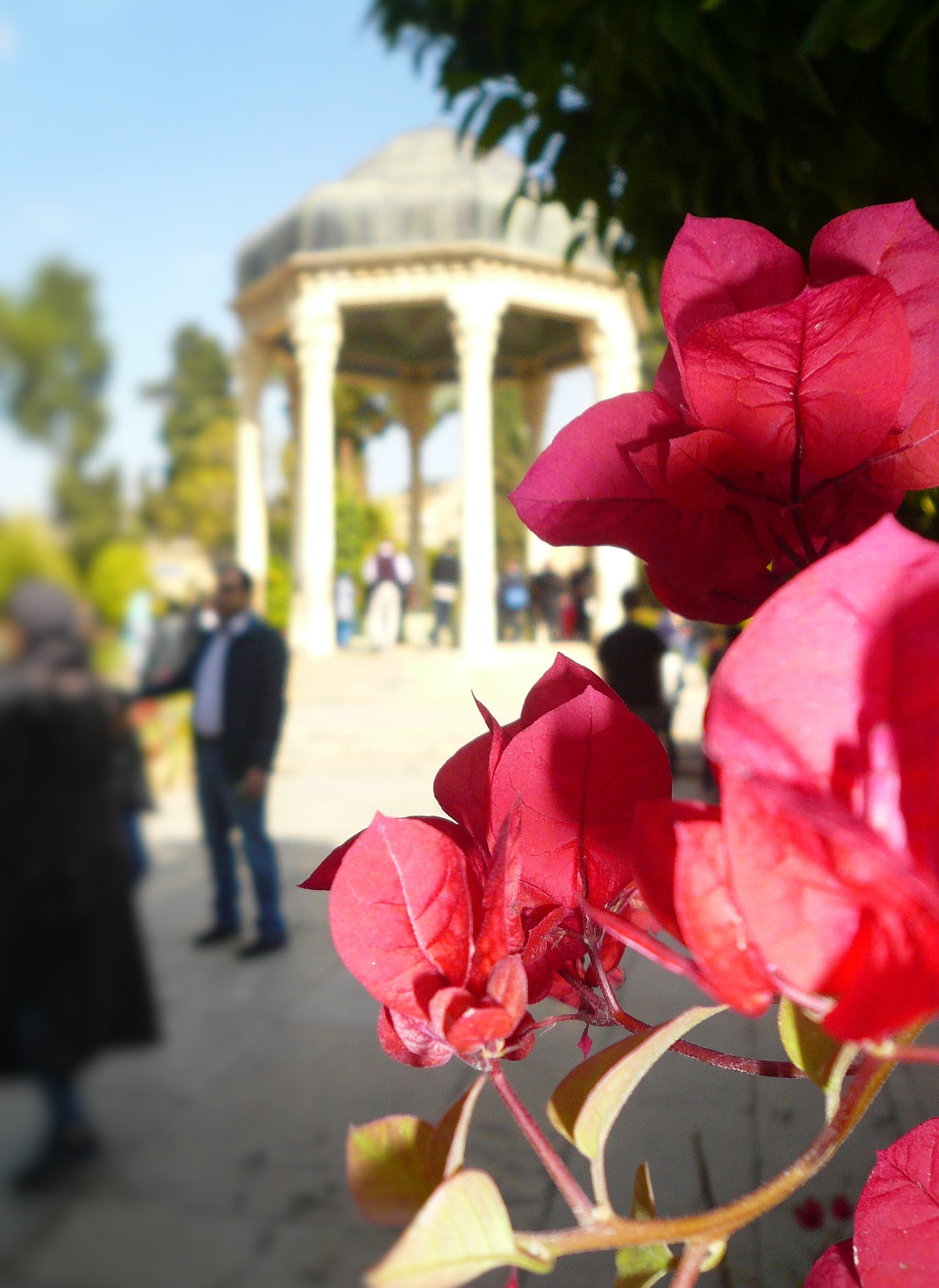 Panasonic DMC-FX07 sample photo. Tomb of hafez photography