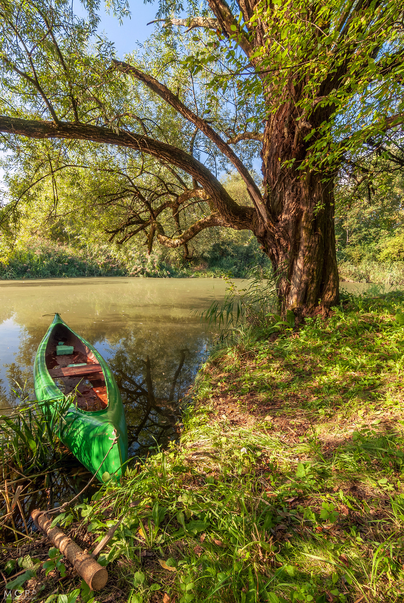 Nikon D200 sample photo. Peaceful summer photography