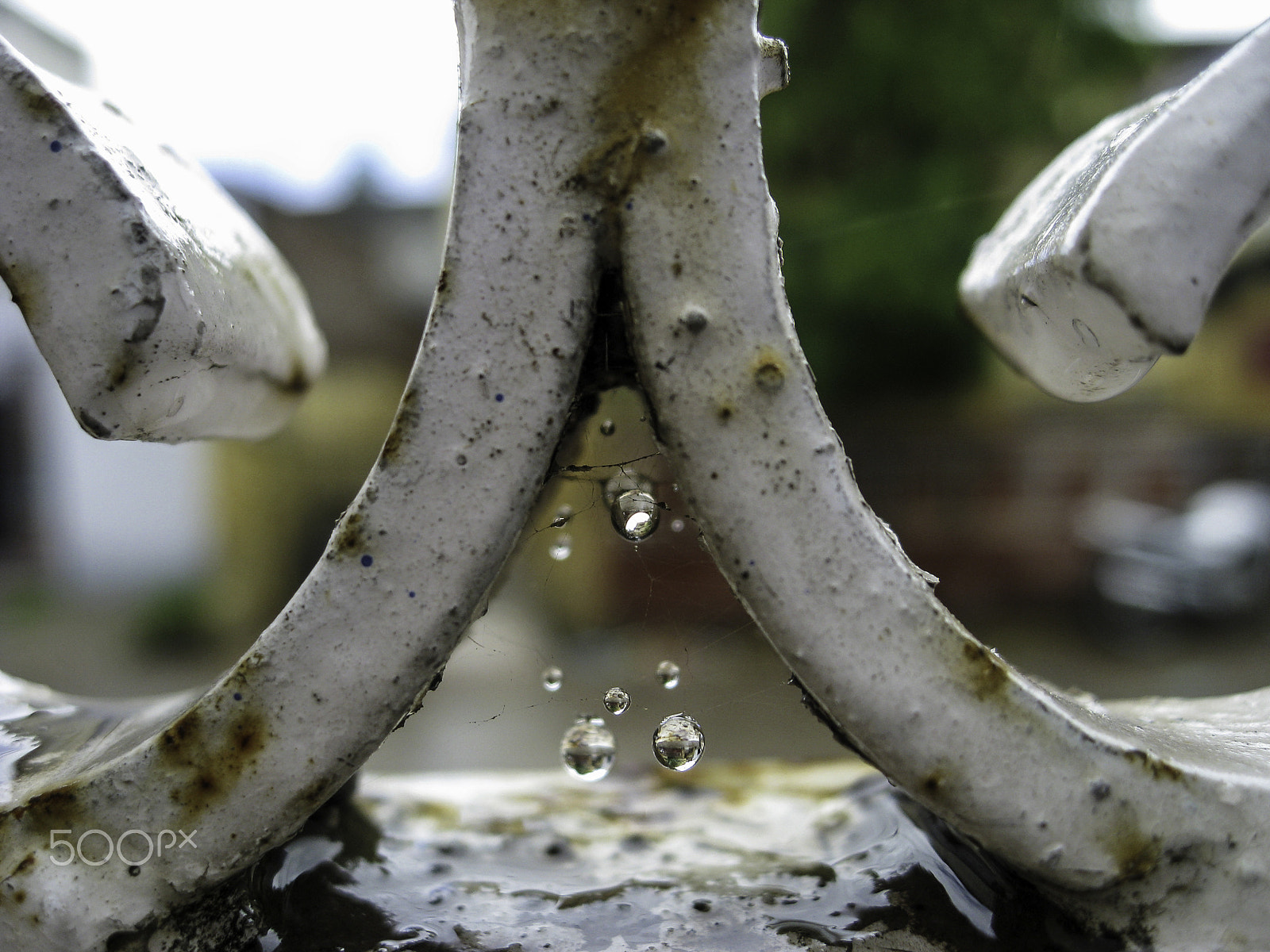 Canon POWERSHOT SD850 IS sample photo. Droplets of water suspended in fine spider web in the metal of a photography