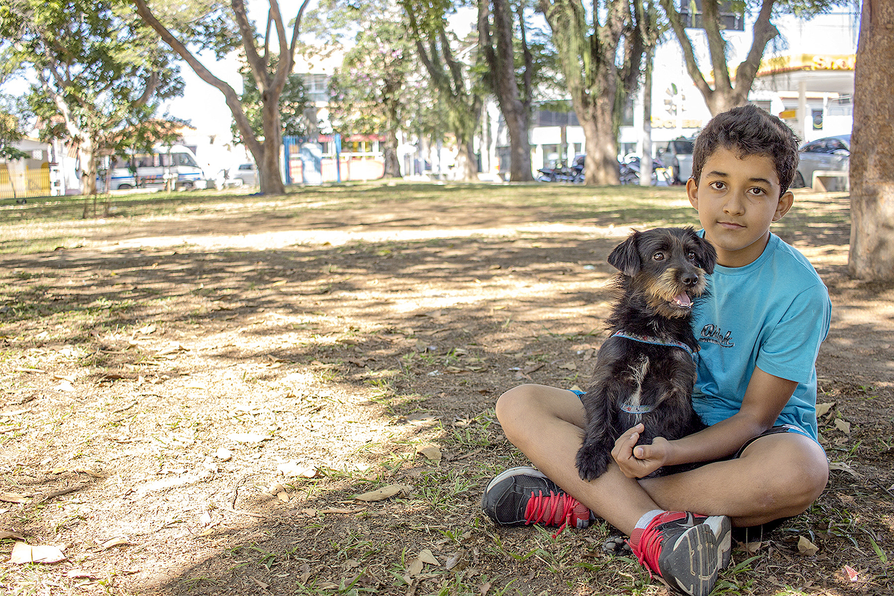 Canon EF-S 24mm F2.8 STM sample photo. Adoptions photography