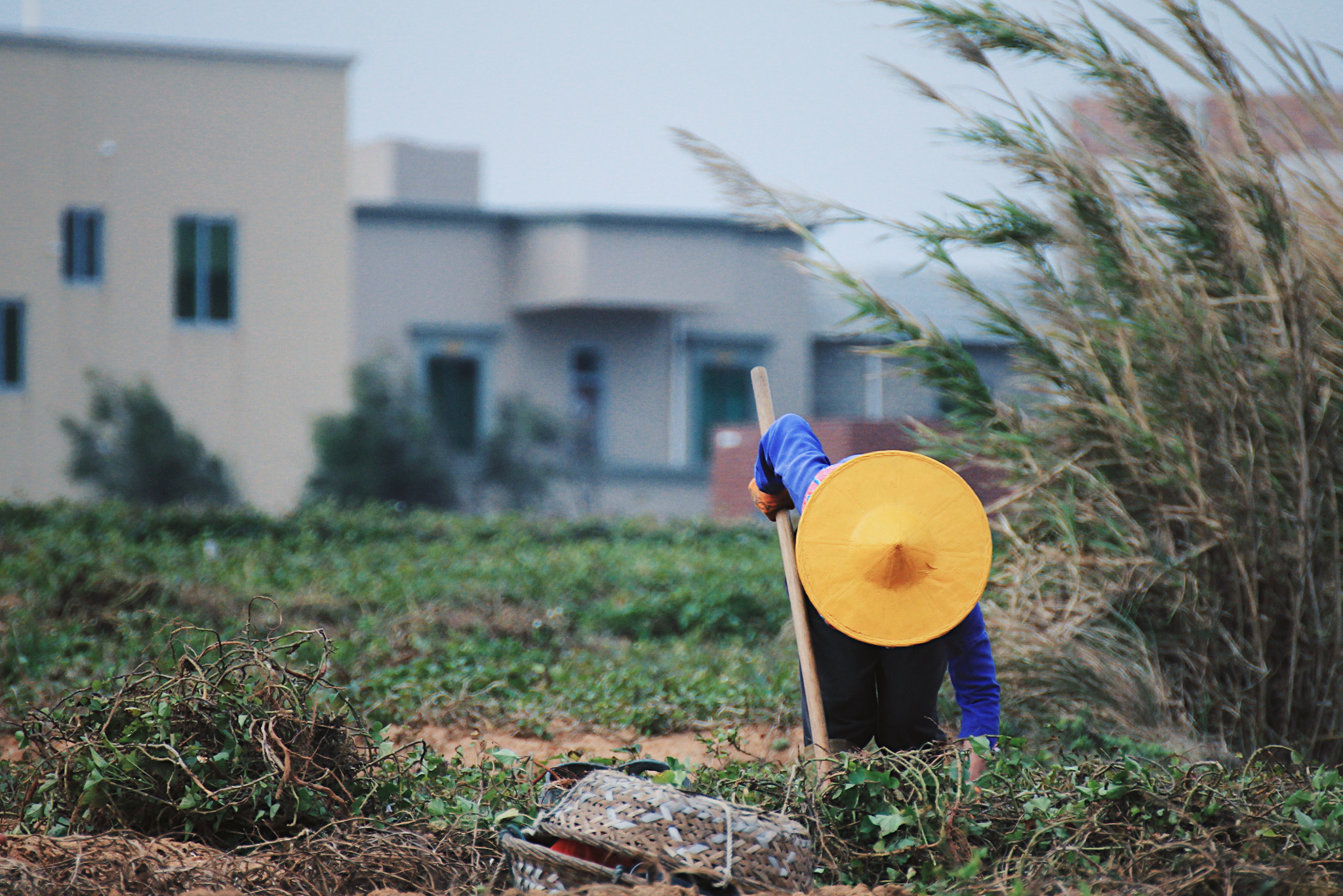 Canon EOS 60D sample photo. 惠安女之黄斗笠。 photography