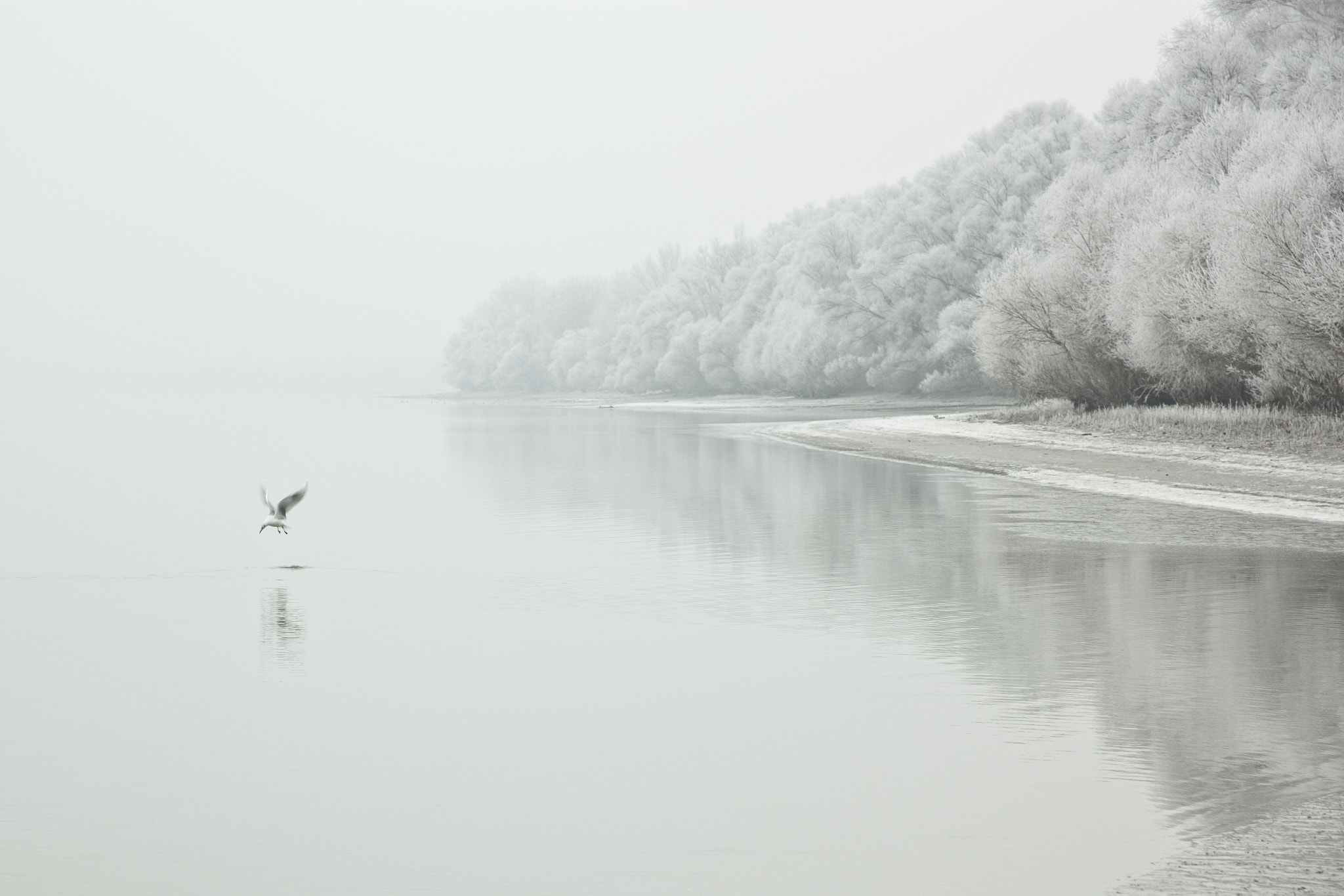 Canon EF 28-105mm f/3.5-4.5 USM sample photo. White danube photography