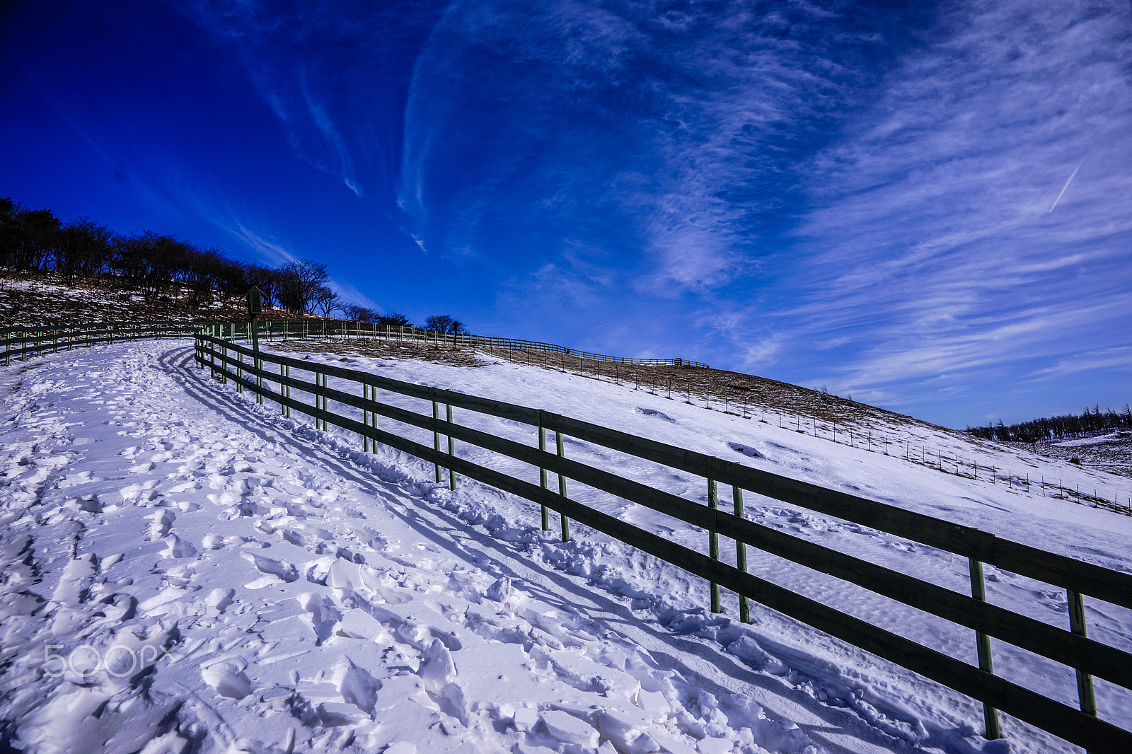 Sony SLT-A99V sample photo. One winter day photography