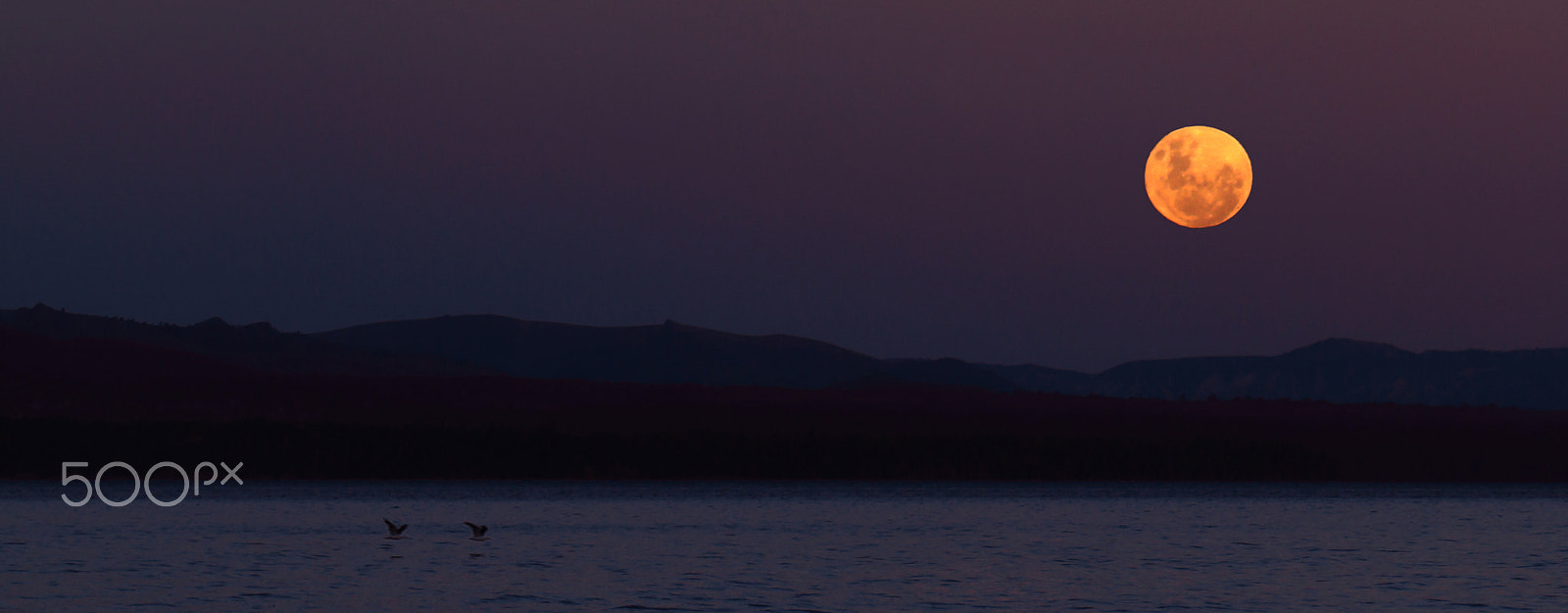 Canon EF 75-300mm f/4-5.6 USM sample photo. Luna llena horizontal photography