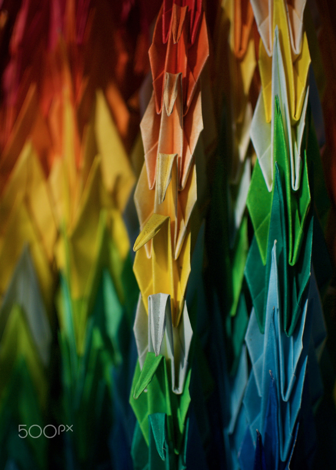 Nikon 1 J2 + Nikon 1 Nikkor 18.5mm F1.8 sample photo. One thousand cranes... photography