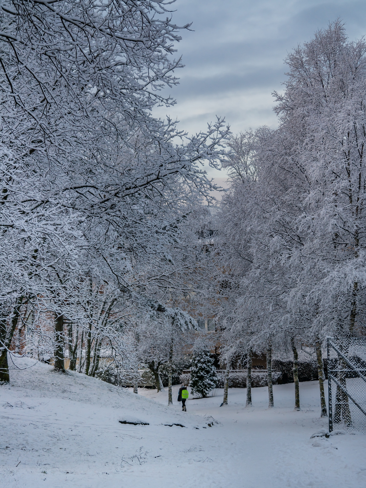 Samsung NX30 + Samsung NX 18-55mm F3.5-5.6 OIS sample photo. "back from school" photography