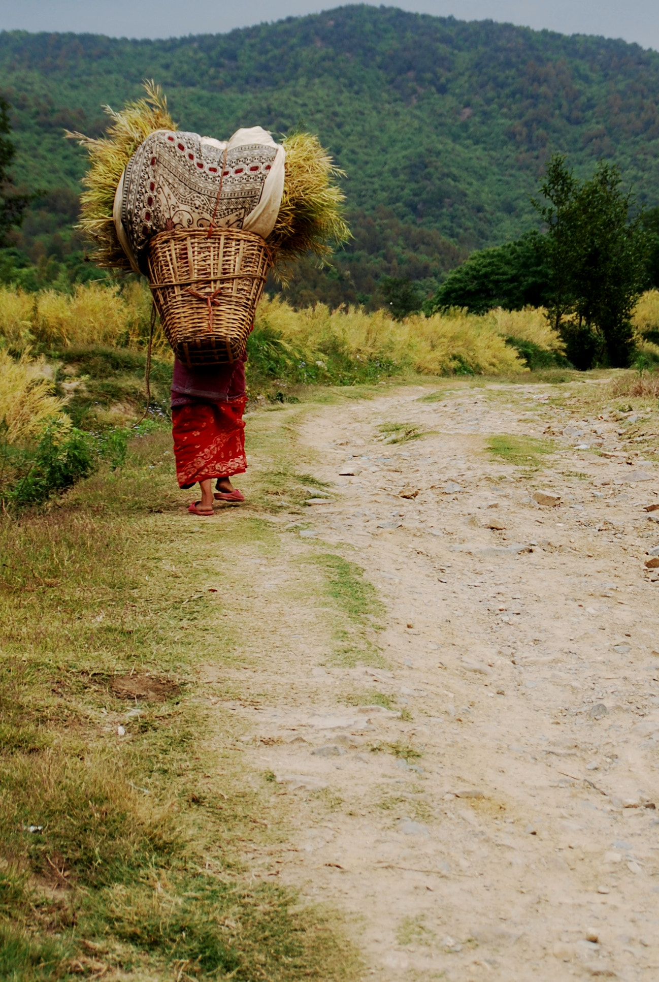 Nikon D60 sample photo. Daily work photography