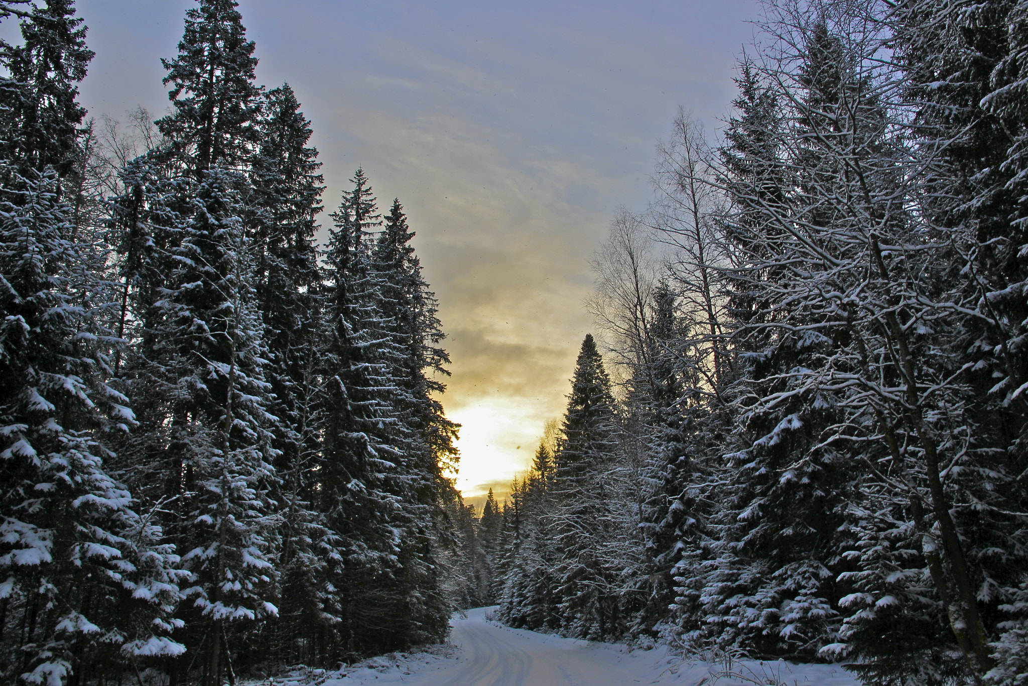 Canon EOS 550D (EOS Rebel T2i / EOS Kiss X4) sample photo. Winter sunset photography