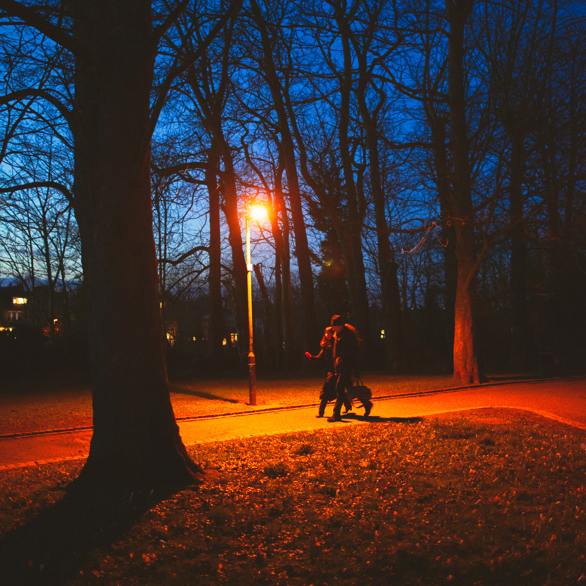 Nikon D800 + Nikon AF-S Nikkor 28mm F1.8G sample photo. Wintery walk photography