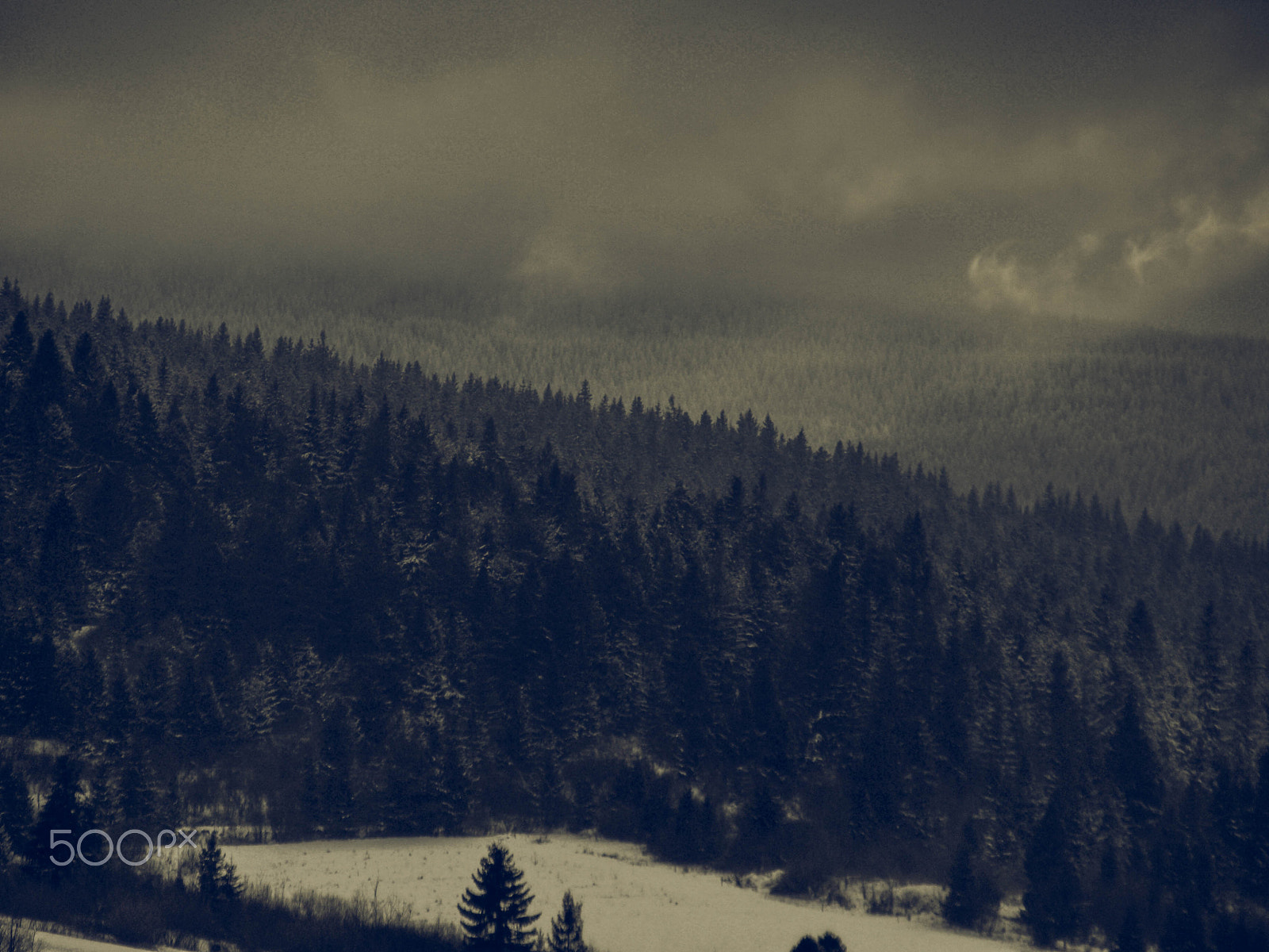 Olympus Zuiko Digital ED 40-150mm F4.0-5.6 sample photo. Snowy forest photography