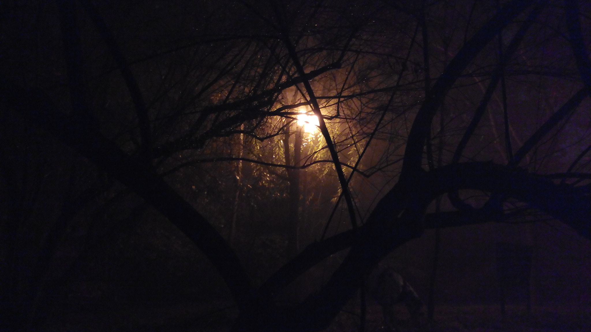 bq Aquaris E5 HD sample photo