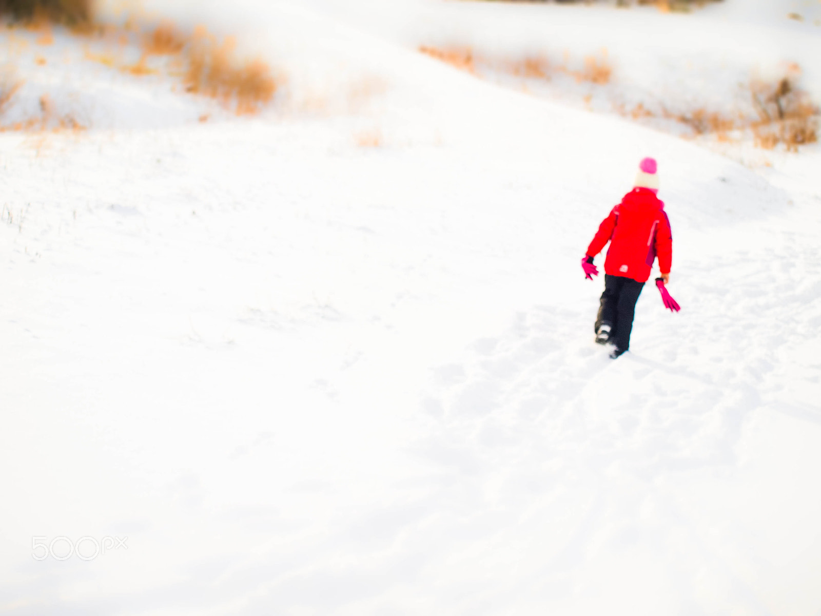 Olympus Zuiko Digital ED 40-150mm F4.0-5.6 sample photo. Exploring in the snow photography