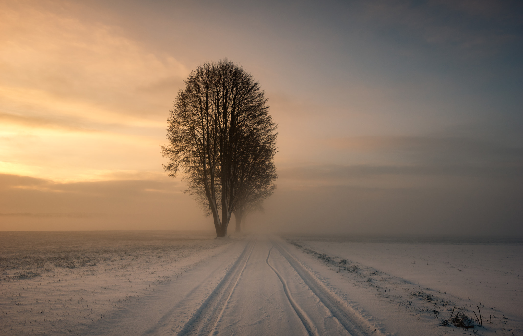 Pentax K-3 II sample photo. Foggy morning photography