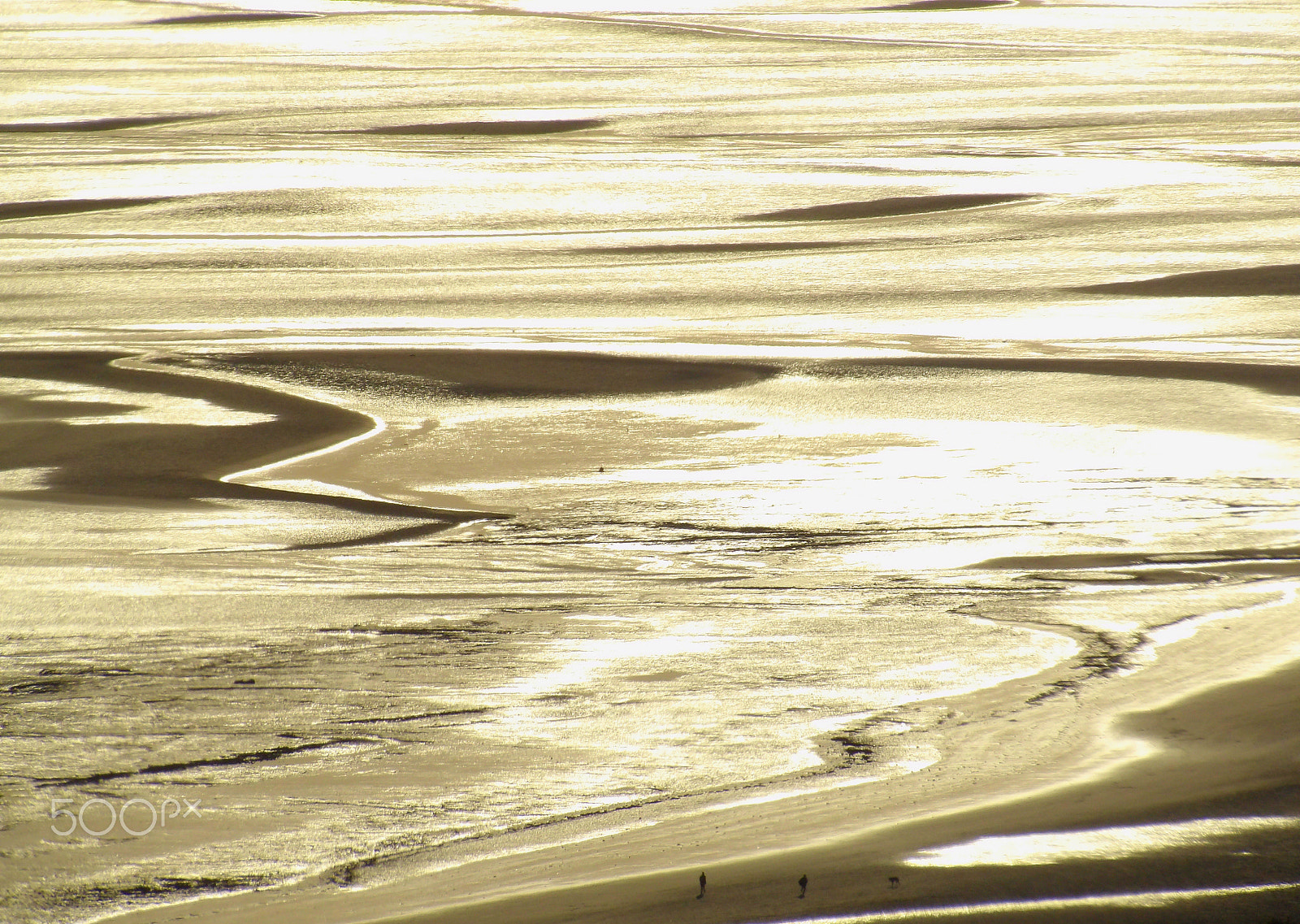 Ricoh PENTAX XG-1 sample photo. Walking on swansea bay photography