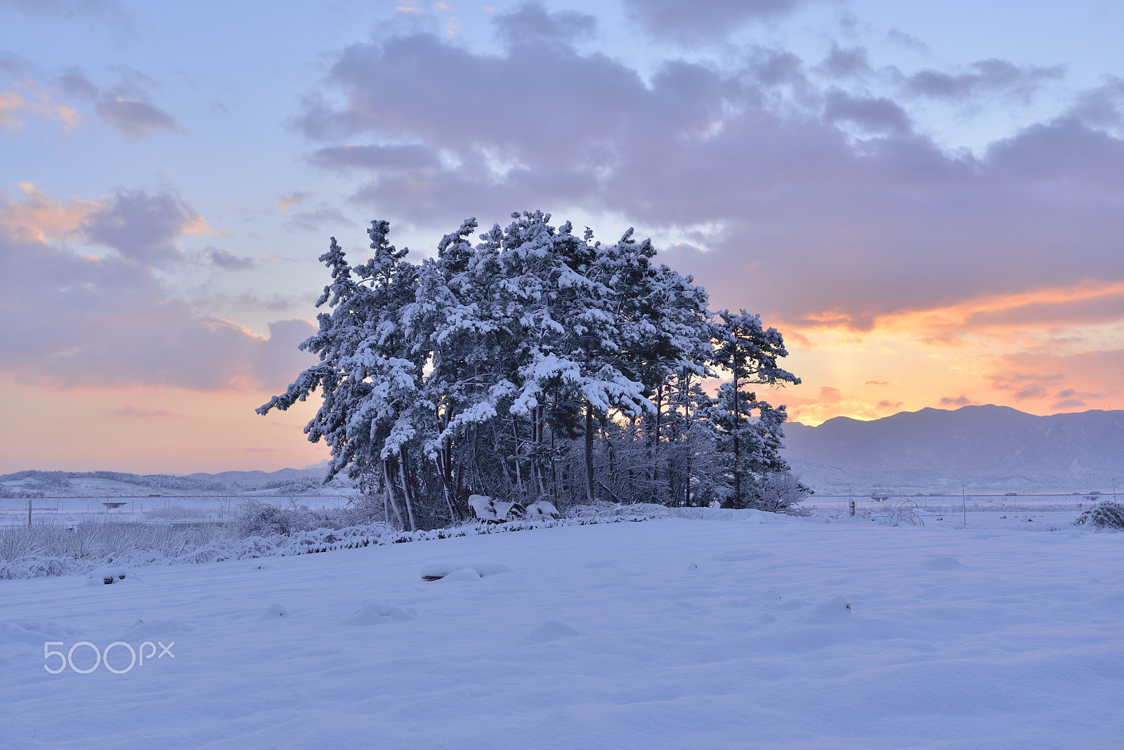 Nikon AF-S Nikkor 17-35mm F2.8D ED-IF sample photo. A beautiful morning in korea photography