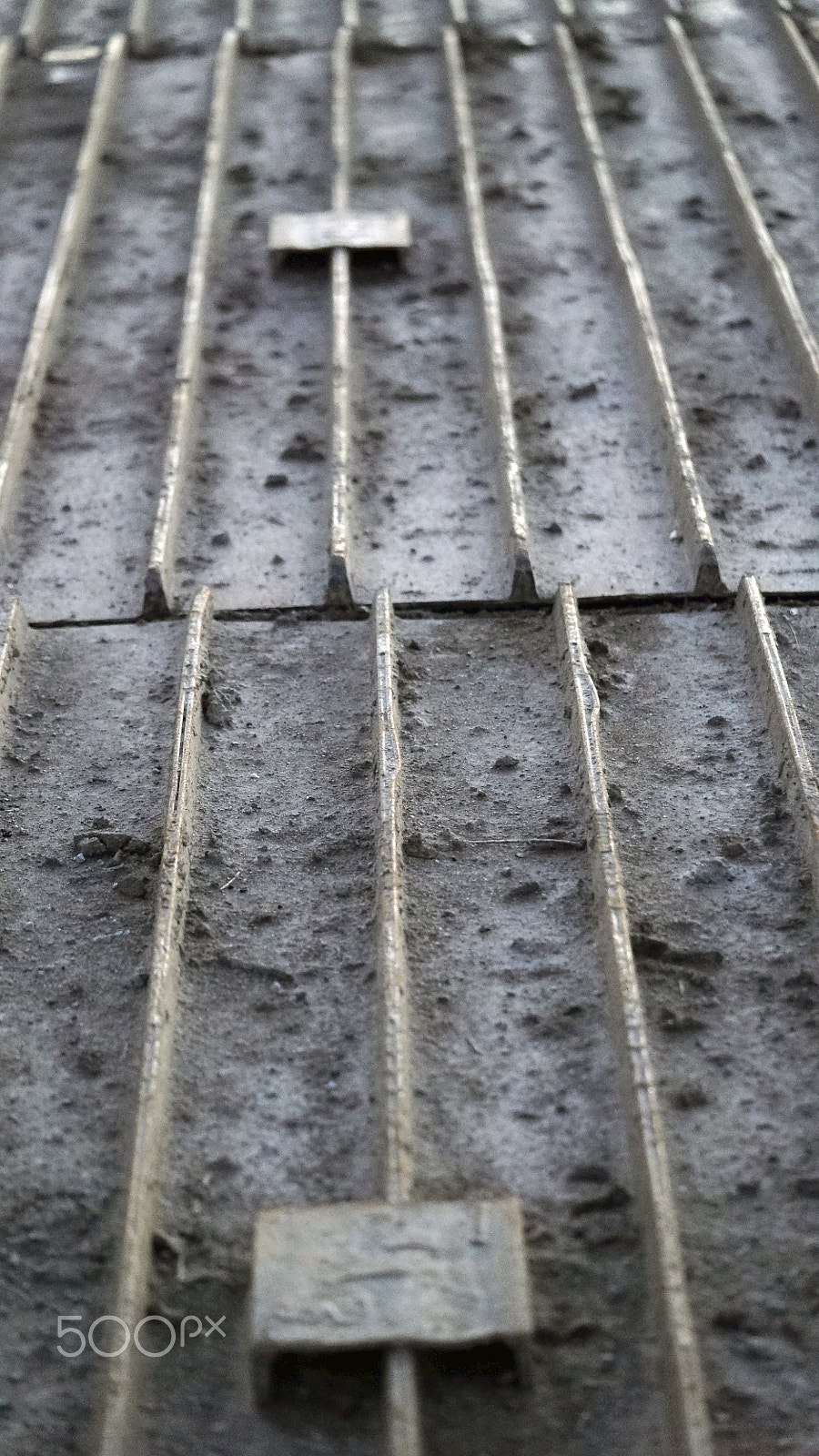 Sony a7S II + Sony FE 90mm F2.8 Macro G OSS sample photo. Rough not ready photography
