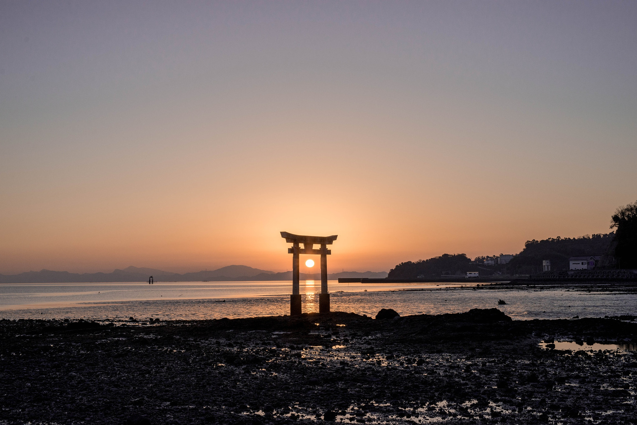 Nikon D610 + Sigma 50mm F1.4 DG HSM Art sample photo. Wayatokazuya photography