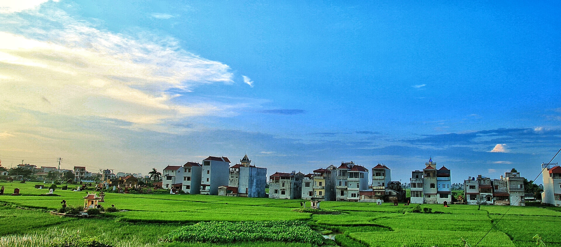 Canon 17-50mm sample photo