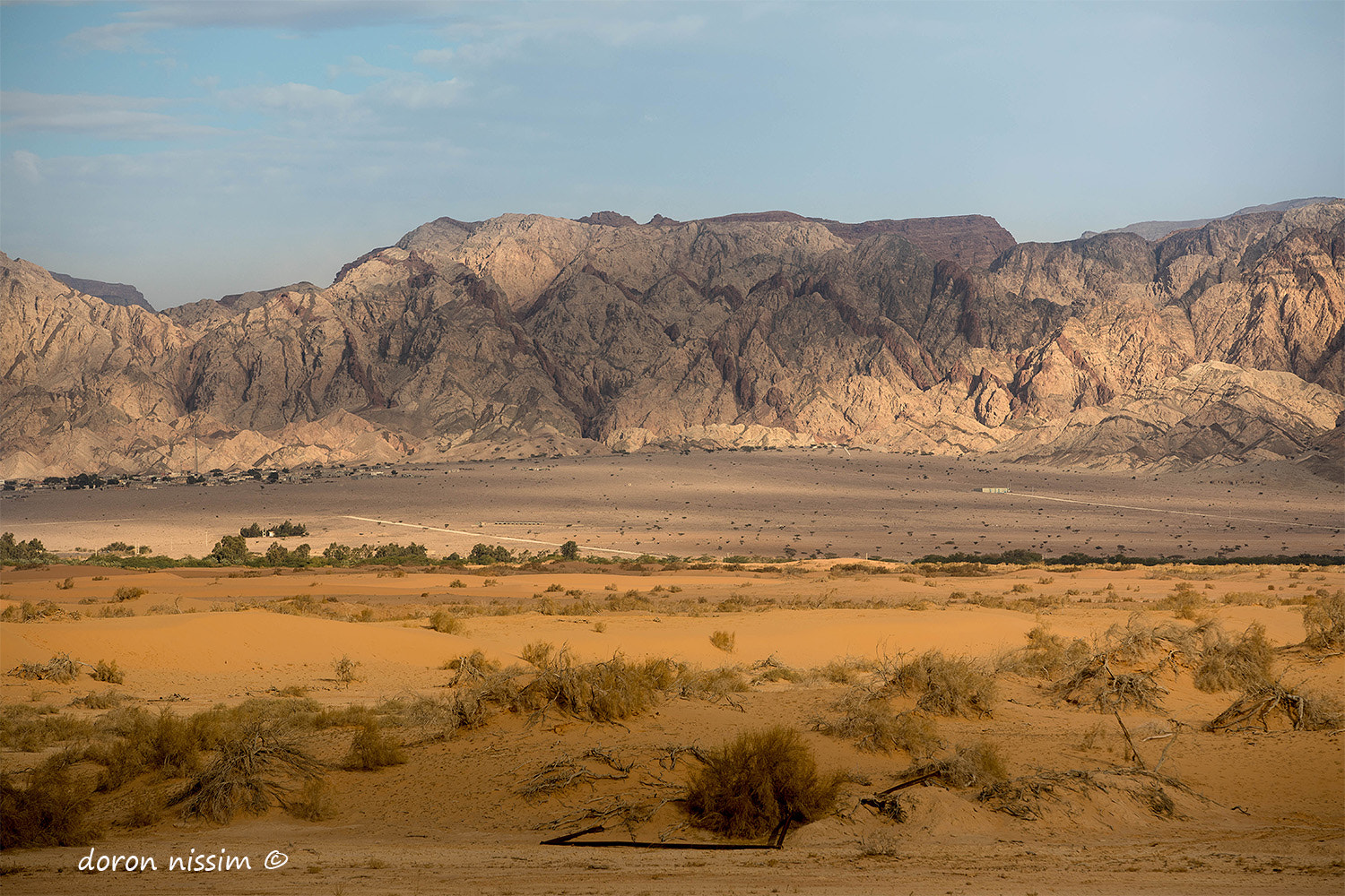 Canon EF 70-200mm F2.8L USM sample photo. Desert winter photography