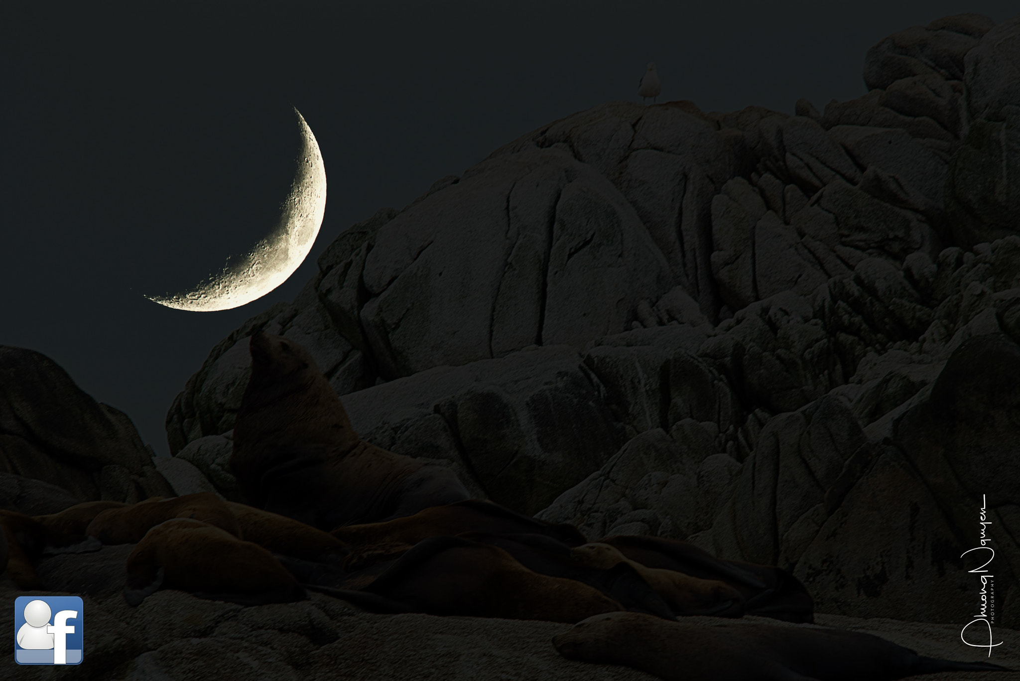 Sigma 150-500mm F5-6.3 DG OS HSM sample photo. The first moon of the year photography