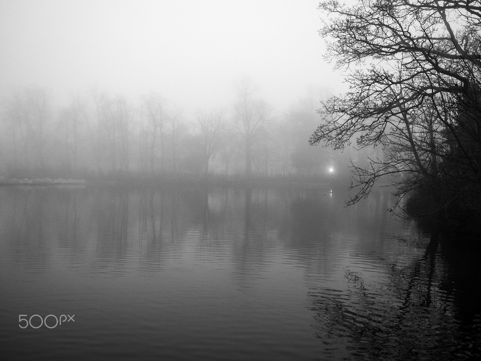 Panasonic Lumix DMC-G7 + LUMIX G 20/F1.7 II sample photo. Foggy day photography