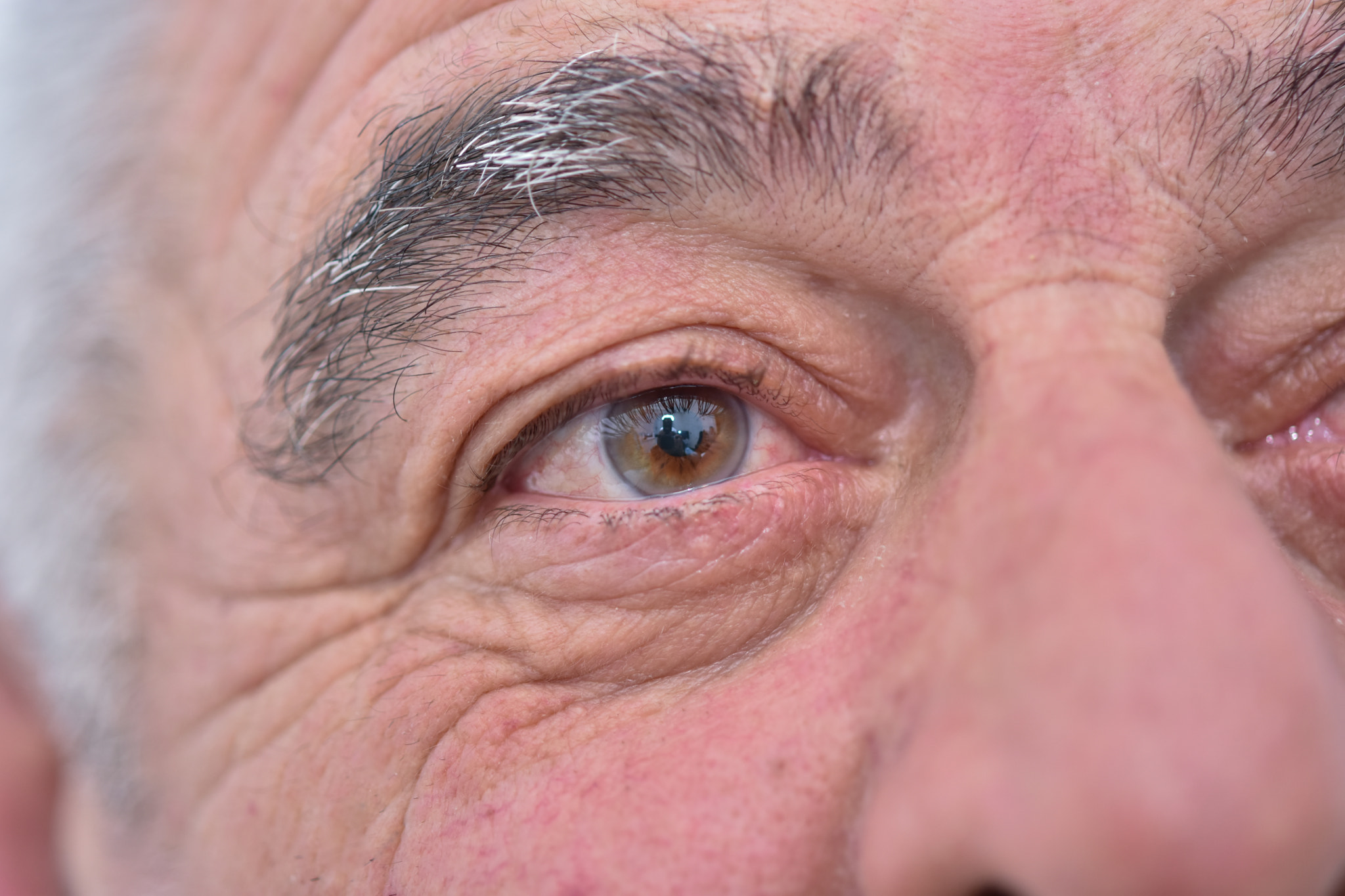 Nikon AF-S Micro-Nikkor 60mm F2.8G ED sample photo. Fridon vardmanidze photography