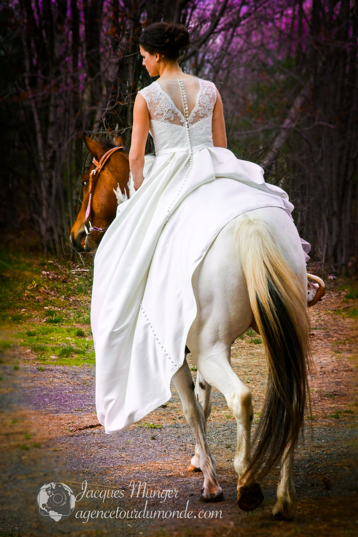 Canon EOS-1D Mark III sample photo. Mes deux amours photography