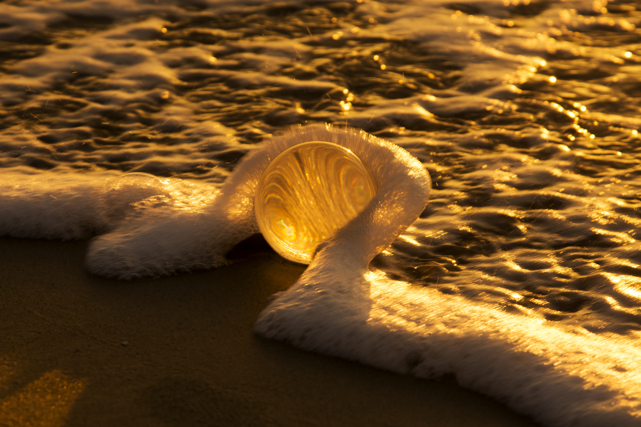Nikon AF-S Nikkor 24-120mm F4G ED VR sample photo. Wave the crystal ball photography