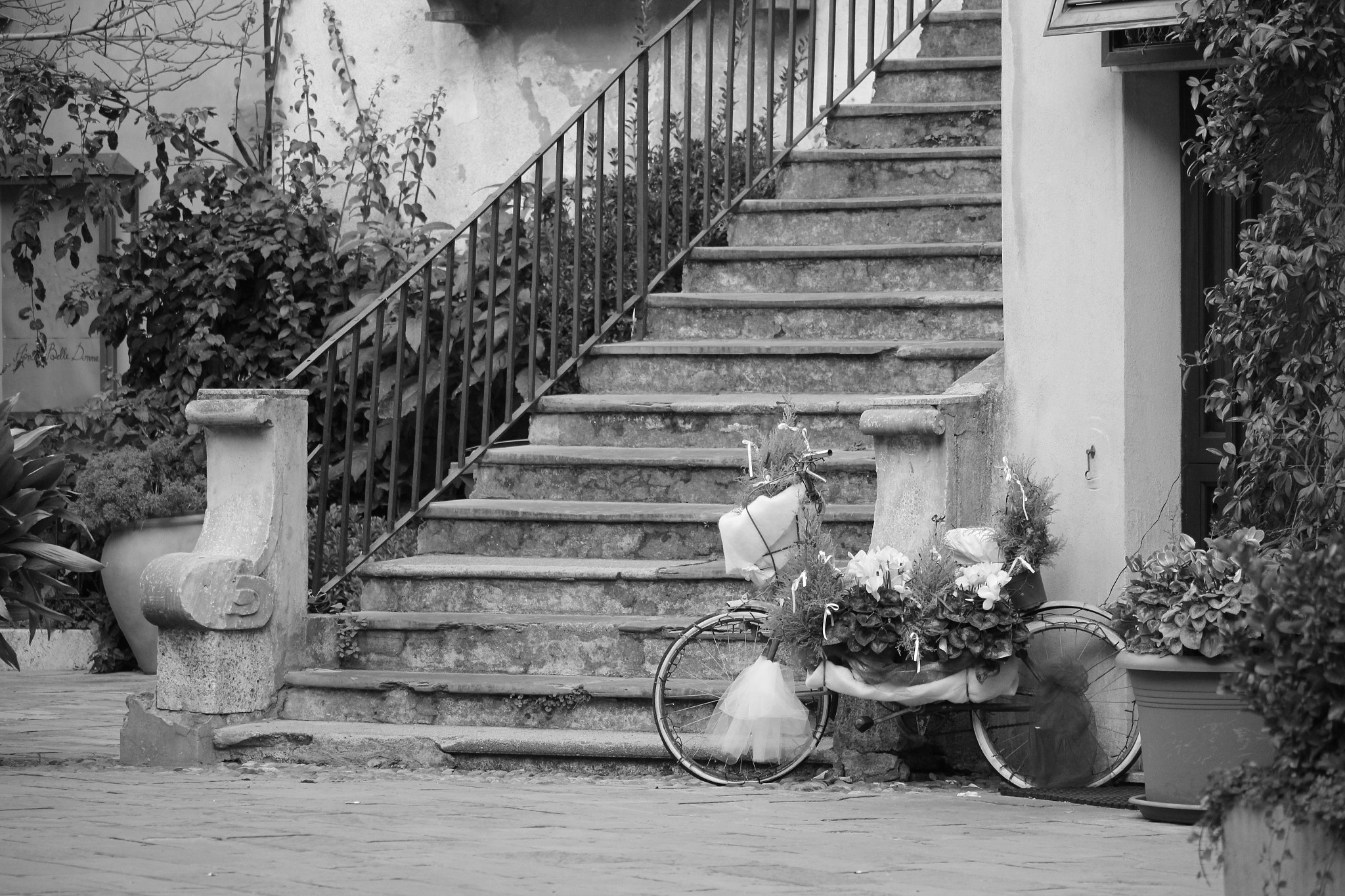 Canon EF-S 55-250mm F4-5.6 IS STM sample photo. Photos stolen in a small italian suburb, in liguria. photography