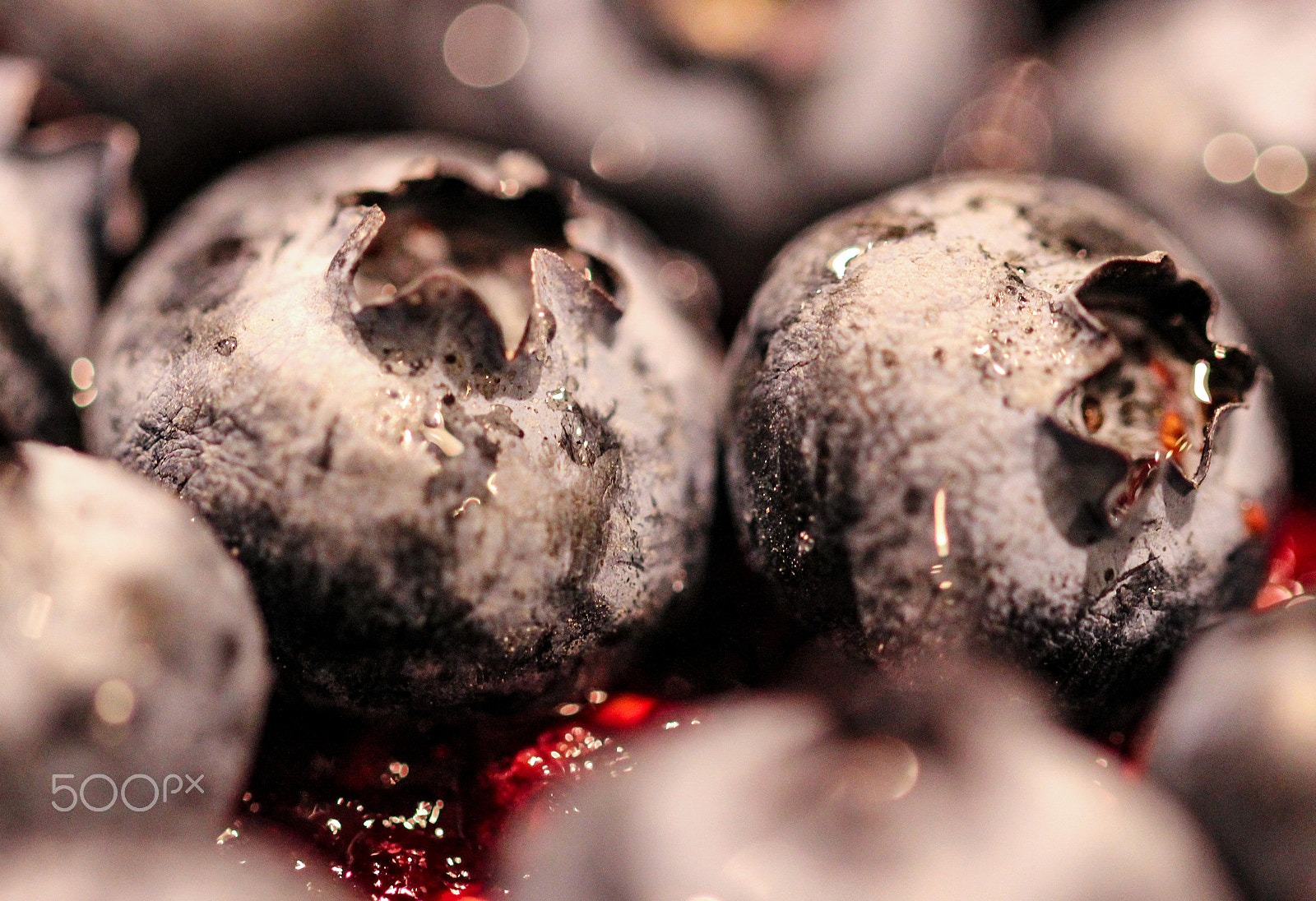Sigma 105mm F2.8 EX DG OS HSM sample photo. Blue berries photography