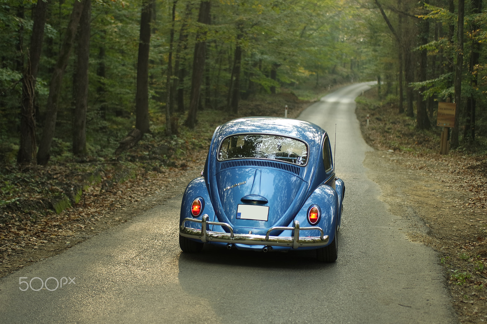 Samsung NX 45mm F1.8 sample photo. Driving car in middle of forest photography