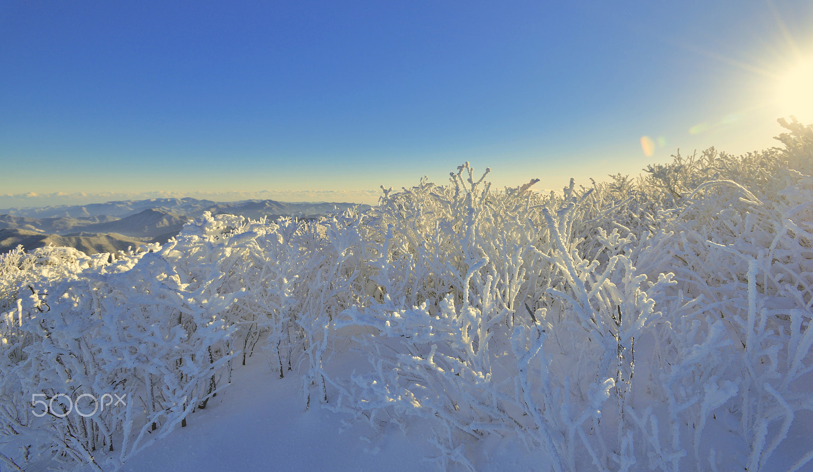 Nikon AF-S Nikkor 17-35mm F2.8D ED-IF sample photo. The beauty of winter in korea photography