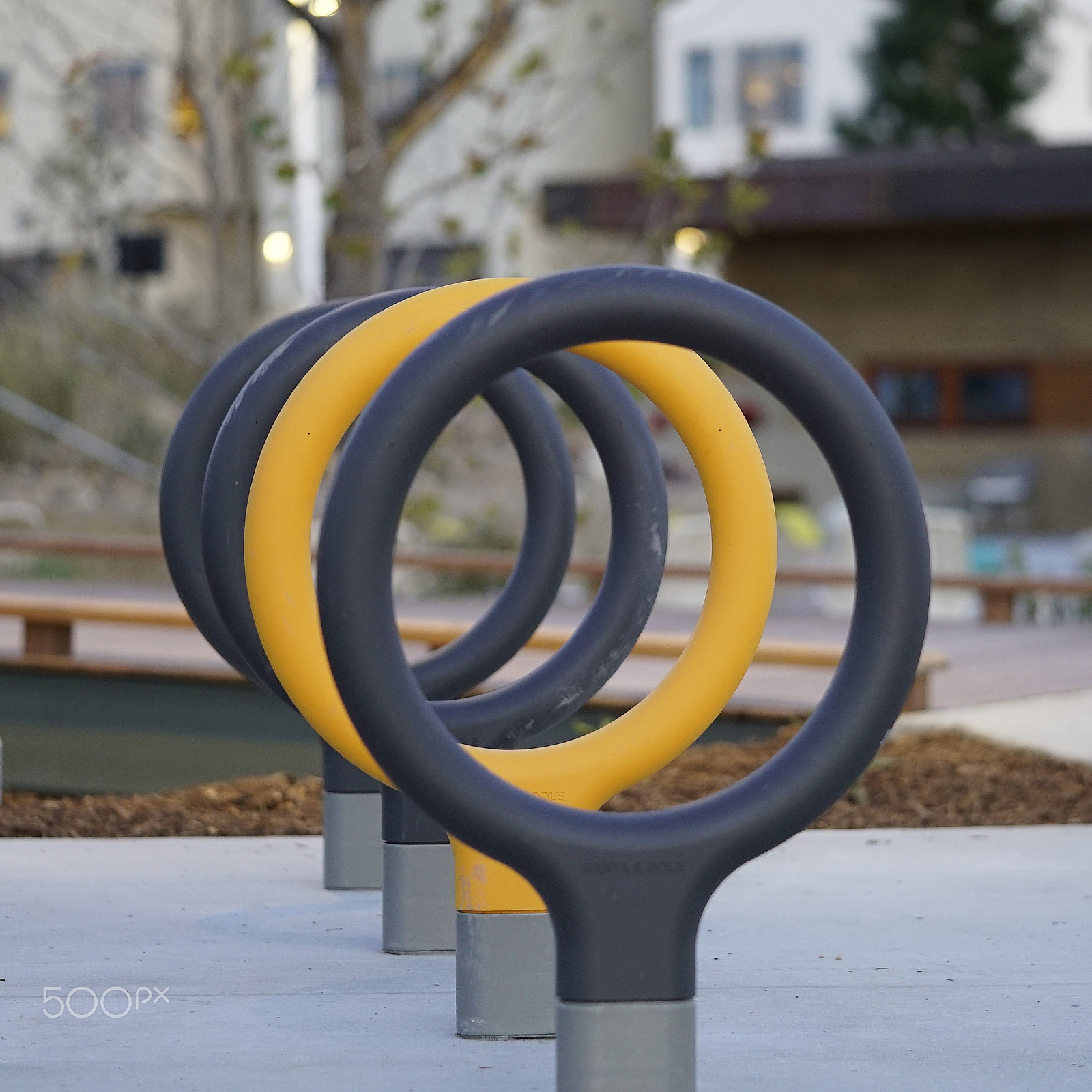 Sony a7S II + Sony FE 90mm F2.8 Macro G OSS sample photo. In the loop photography